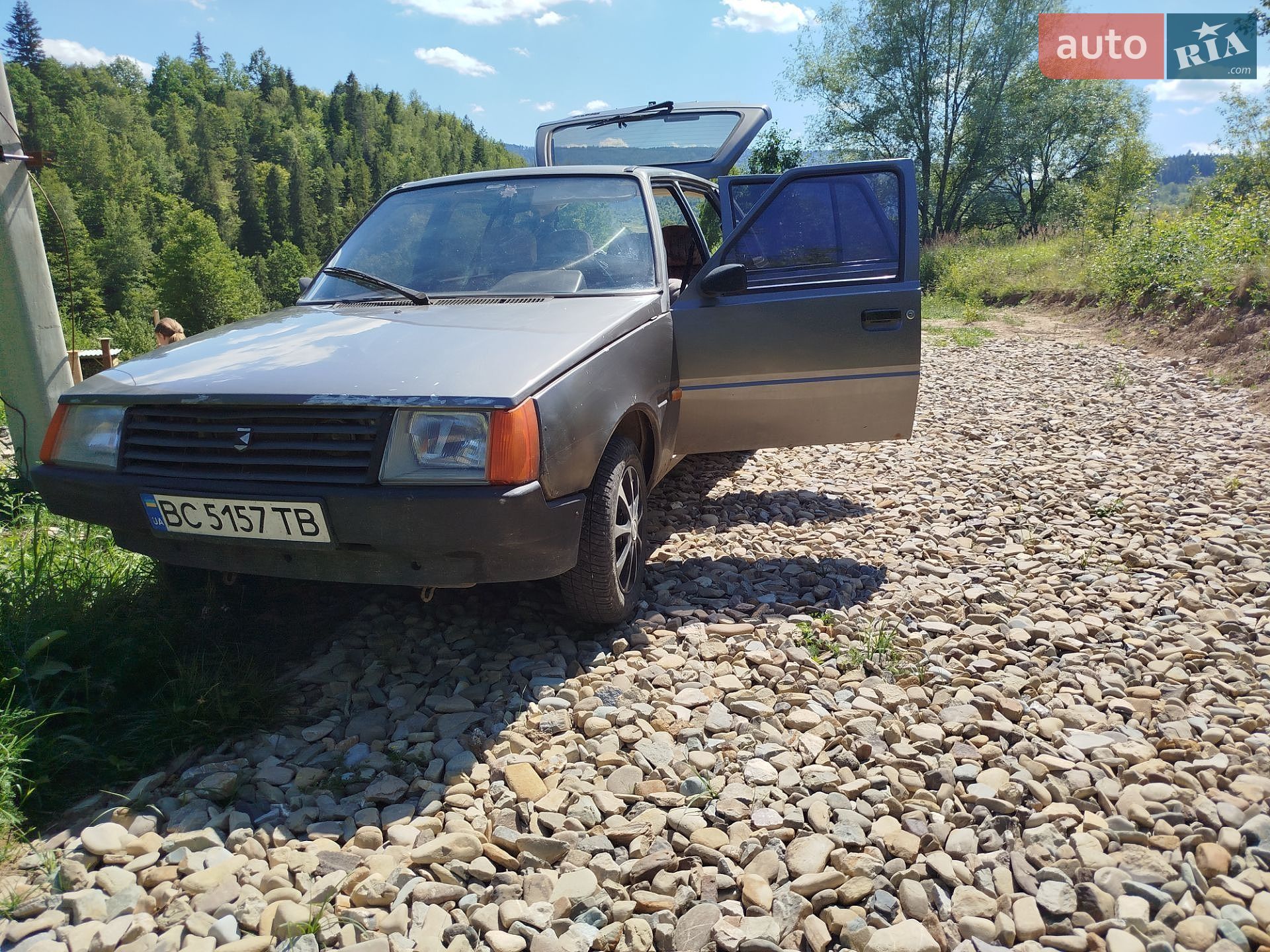 ЗАЗ 1105 Дана 1994 VIN XTE110500R0002603 фото оголошення 6 з 21