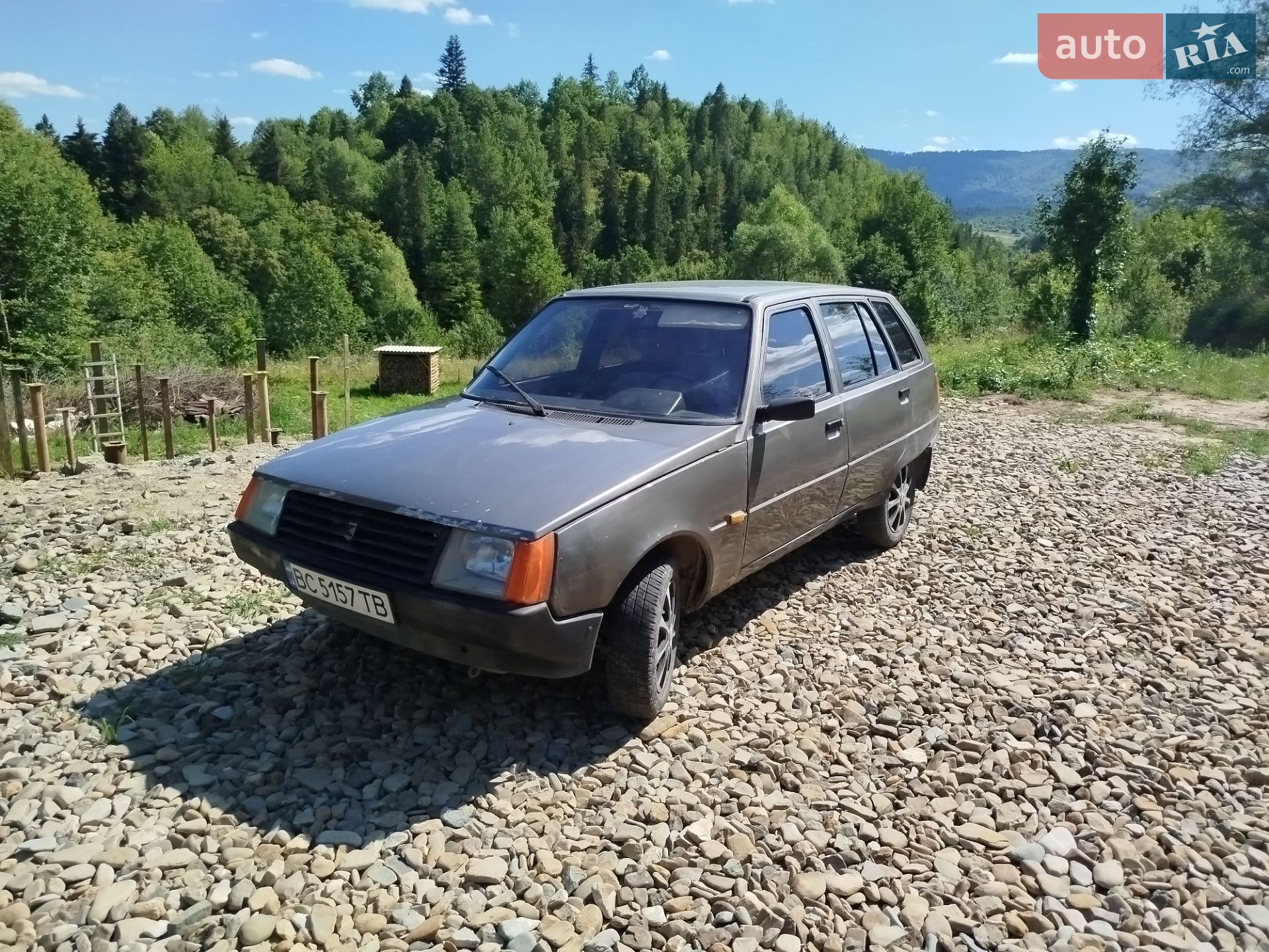 ЗАЗ 1105 Дана 1994 VIN XTE110500R0002603 фото оголошення 18 з 21