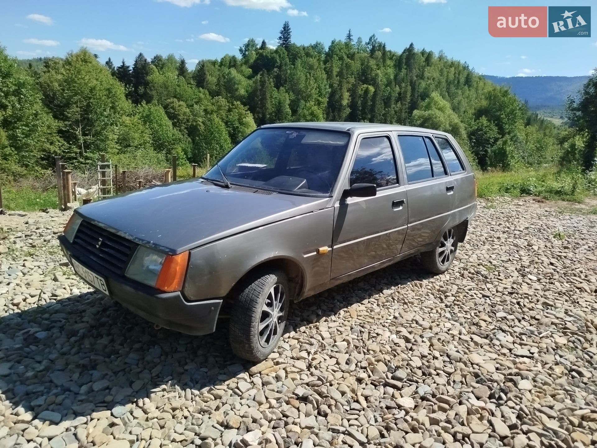 ЗАЗ 1105 Дана 1994 VIN XTE110500R0002603 фото оголошення 17 з 21