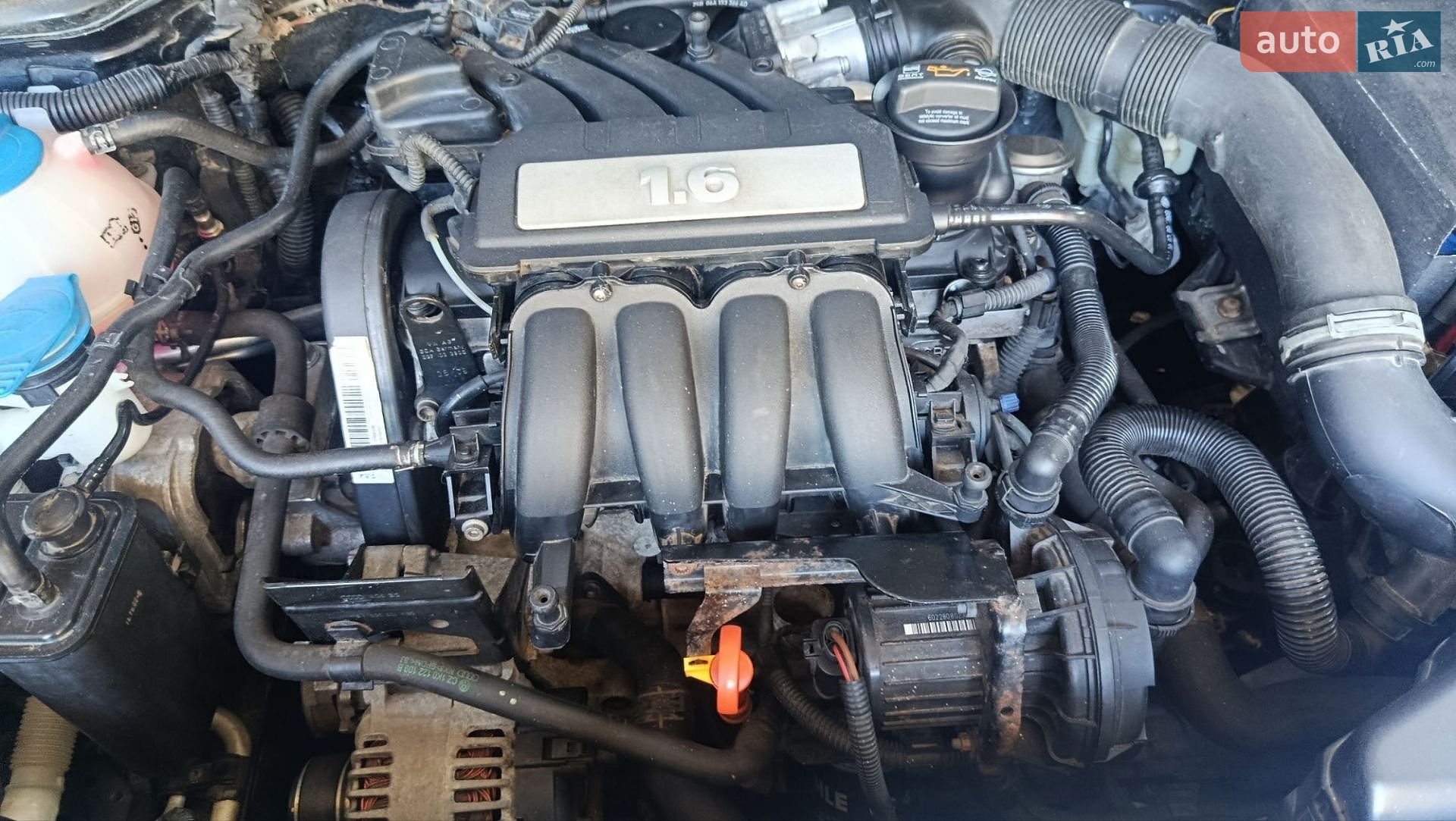 SEAT Leon 2008 VIN VSSZZZ1PZ9R037831 фото оголошення 14 з 14