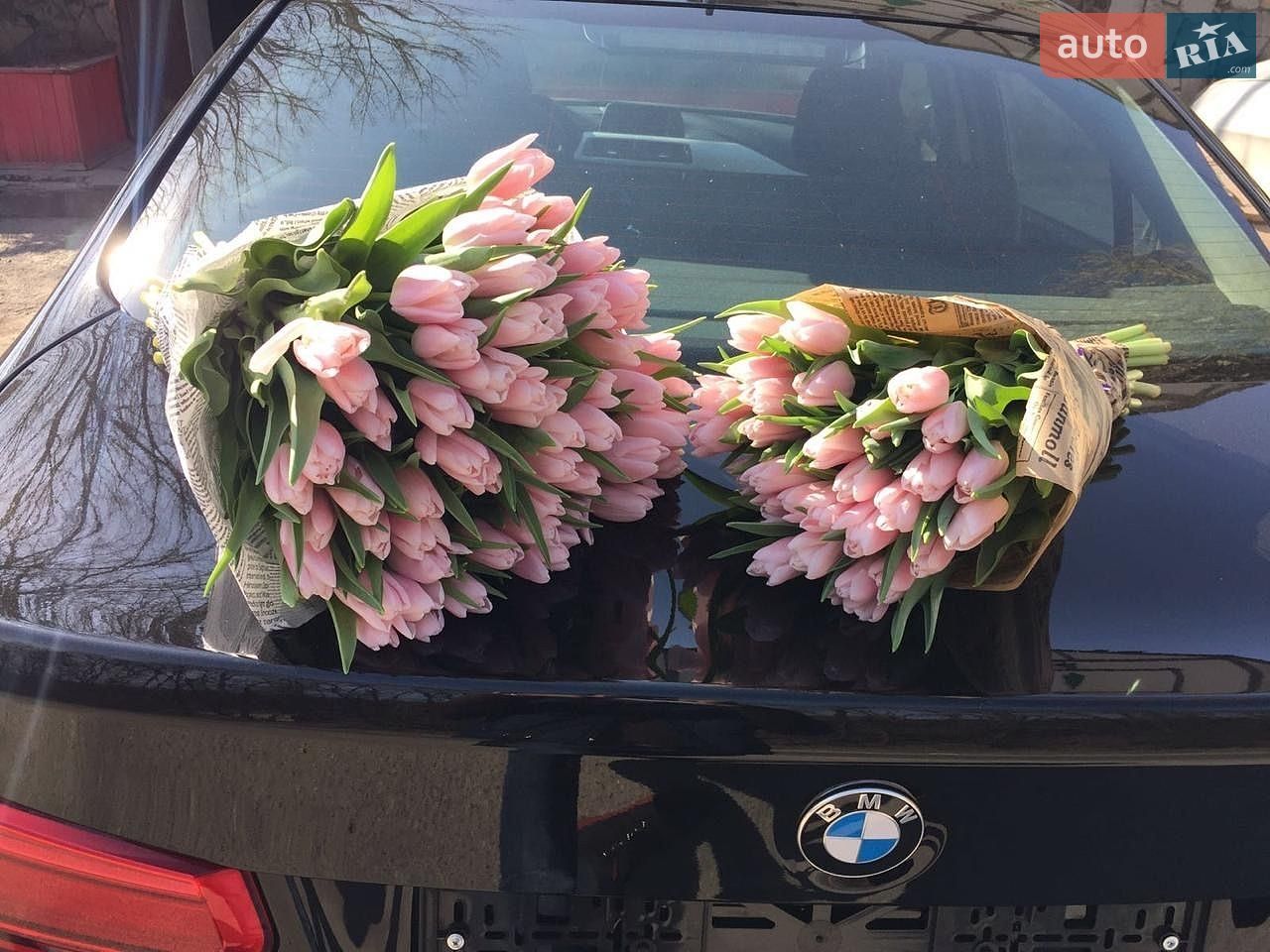 BMW 3 Series 2015 VIN WBA8E31050K492711 фото оголошення 13 з 15