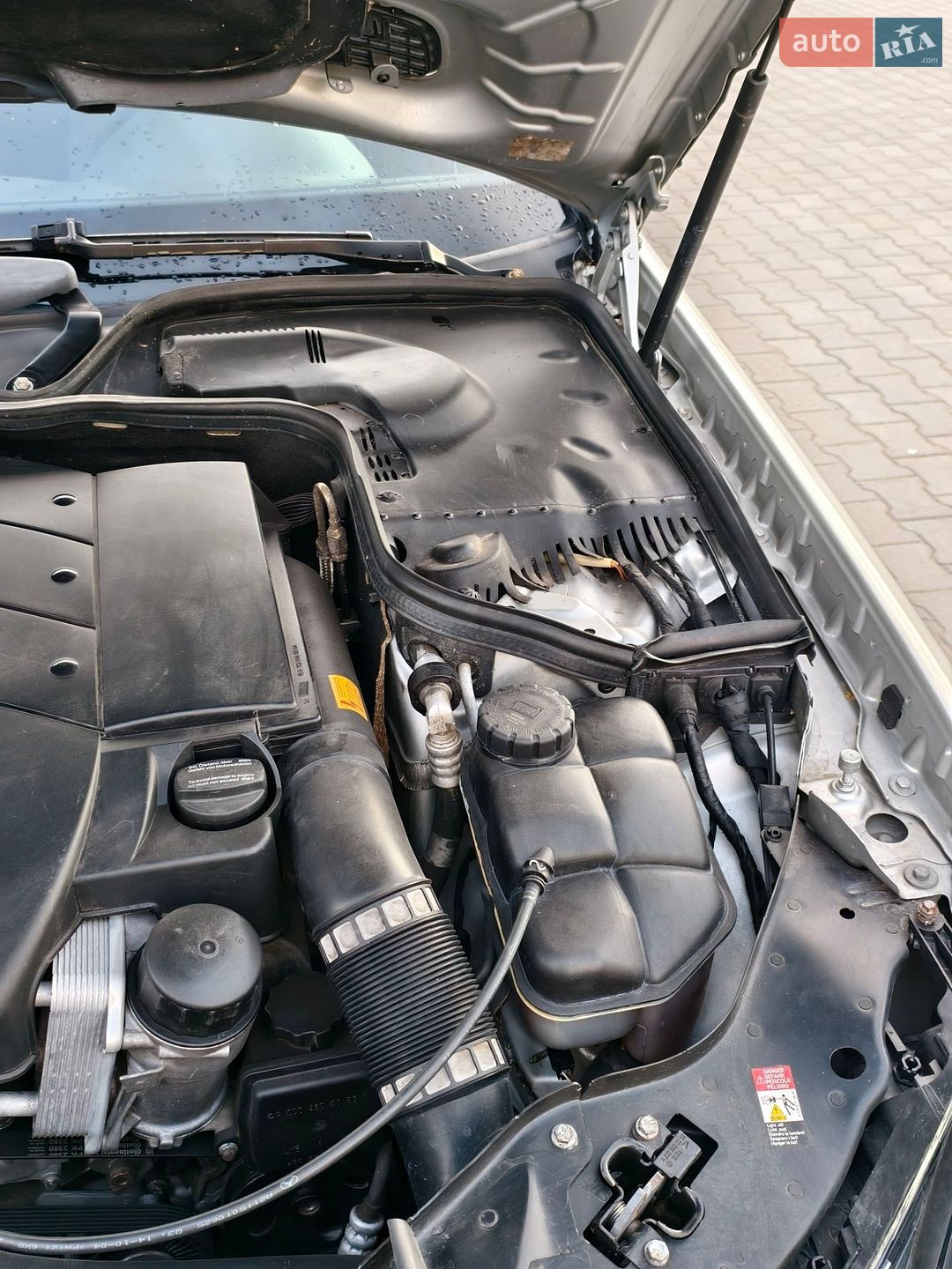 Mercedes-Benz E-Class 2004 VIN WDB2112611A738954 фото оголошення 30 з 37