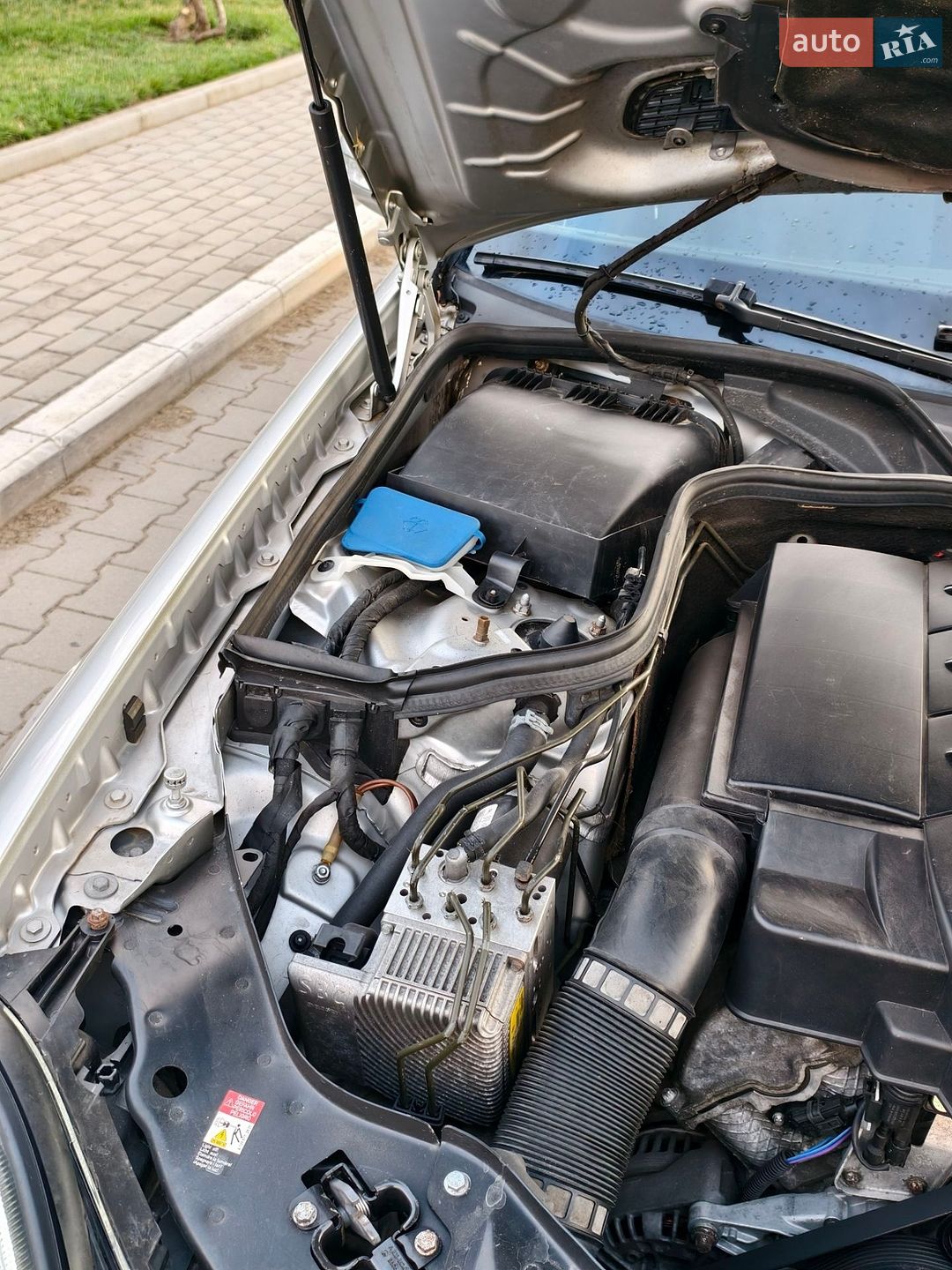 Mercedes-Benz E-Class 2004 VIN WDB2112611A738954 фото оголошення 29 з 37