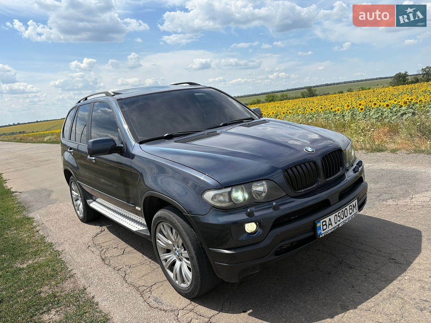 BMW X5 2003 VIN WBAFB710X0LV45307 фото оголошення 4 з 40