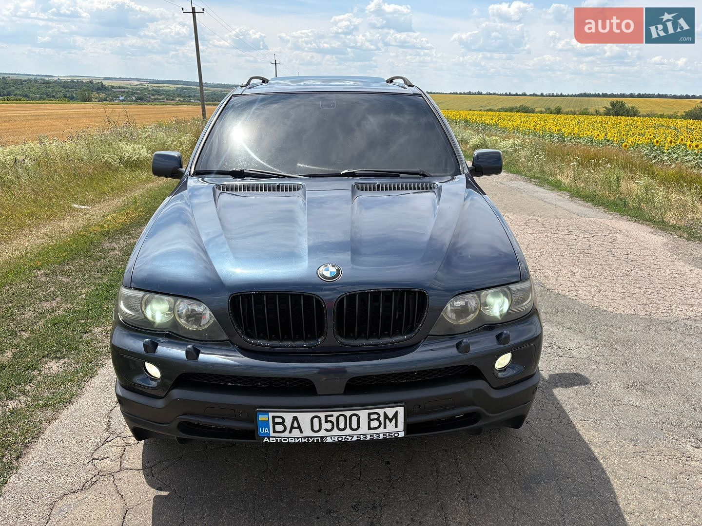 BMW X5 2003 VIN WBAFB710X0LV45307 фото оголошення 25 з 40