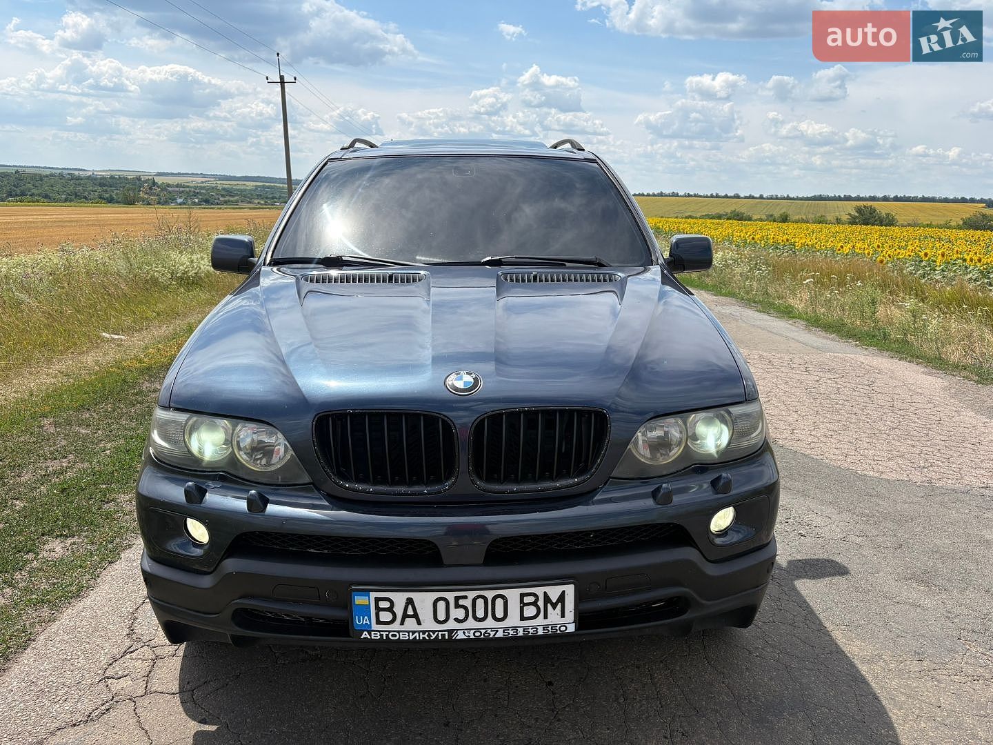 BMW X5 2003 VIN WBAFB710X0LV45307 фото оголошення 26 з 40