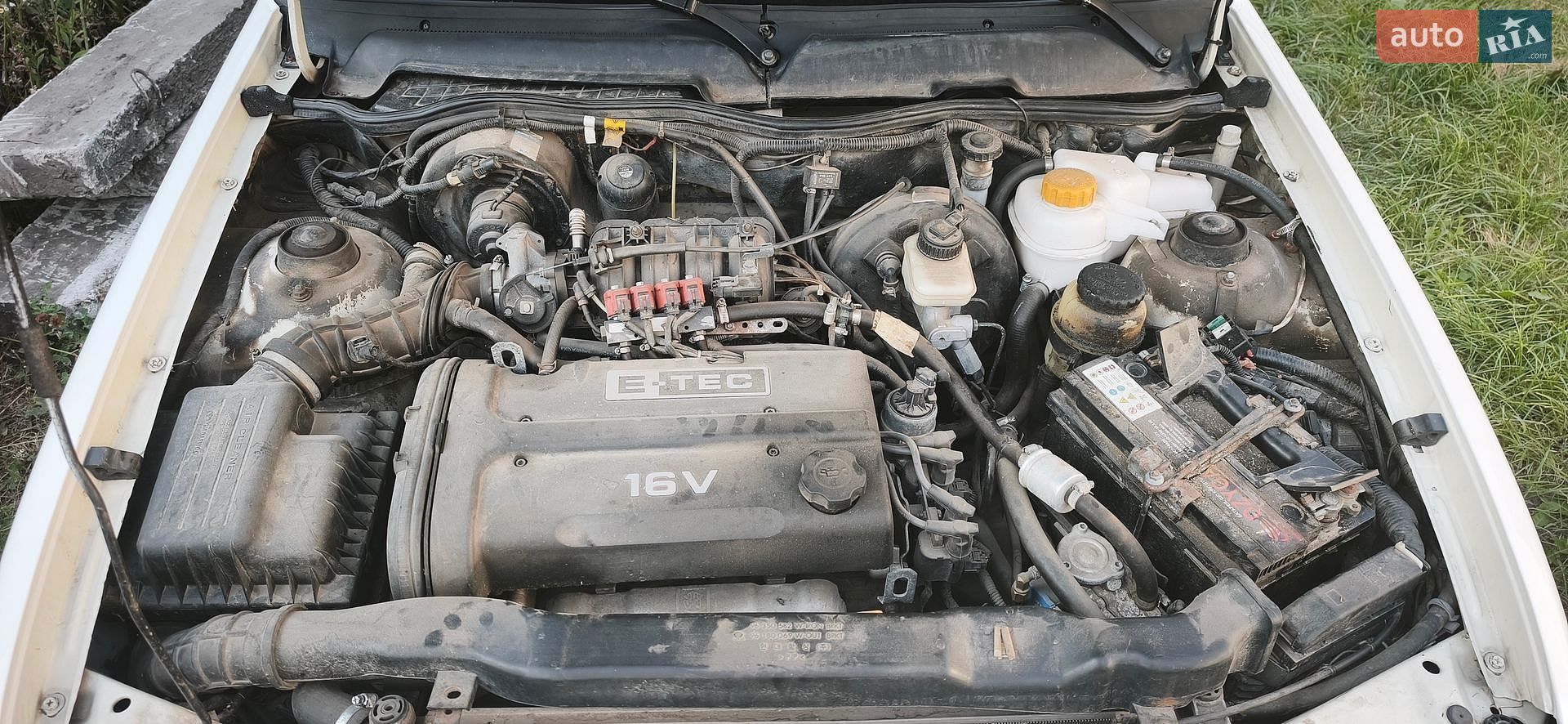 Daewoo Nexia 2012 VIN XWB3K32EDCA221388 фото оголошення 16 з 31