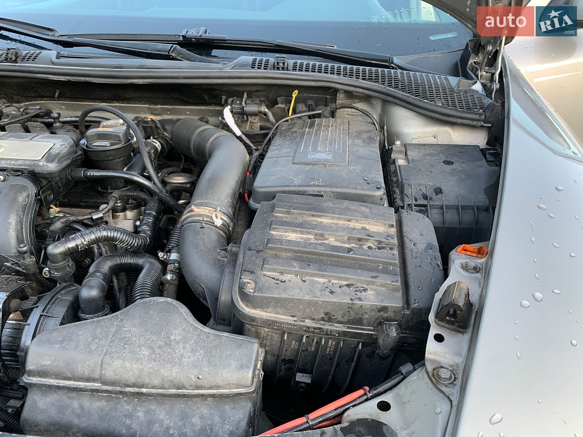 Skoda Octavia 2006 VIN TMBHA61ZX72071852 фото оголошення 41 з 42