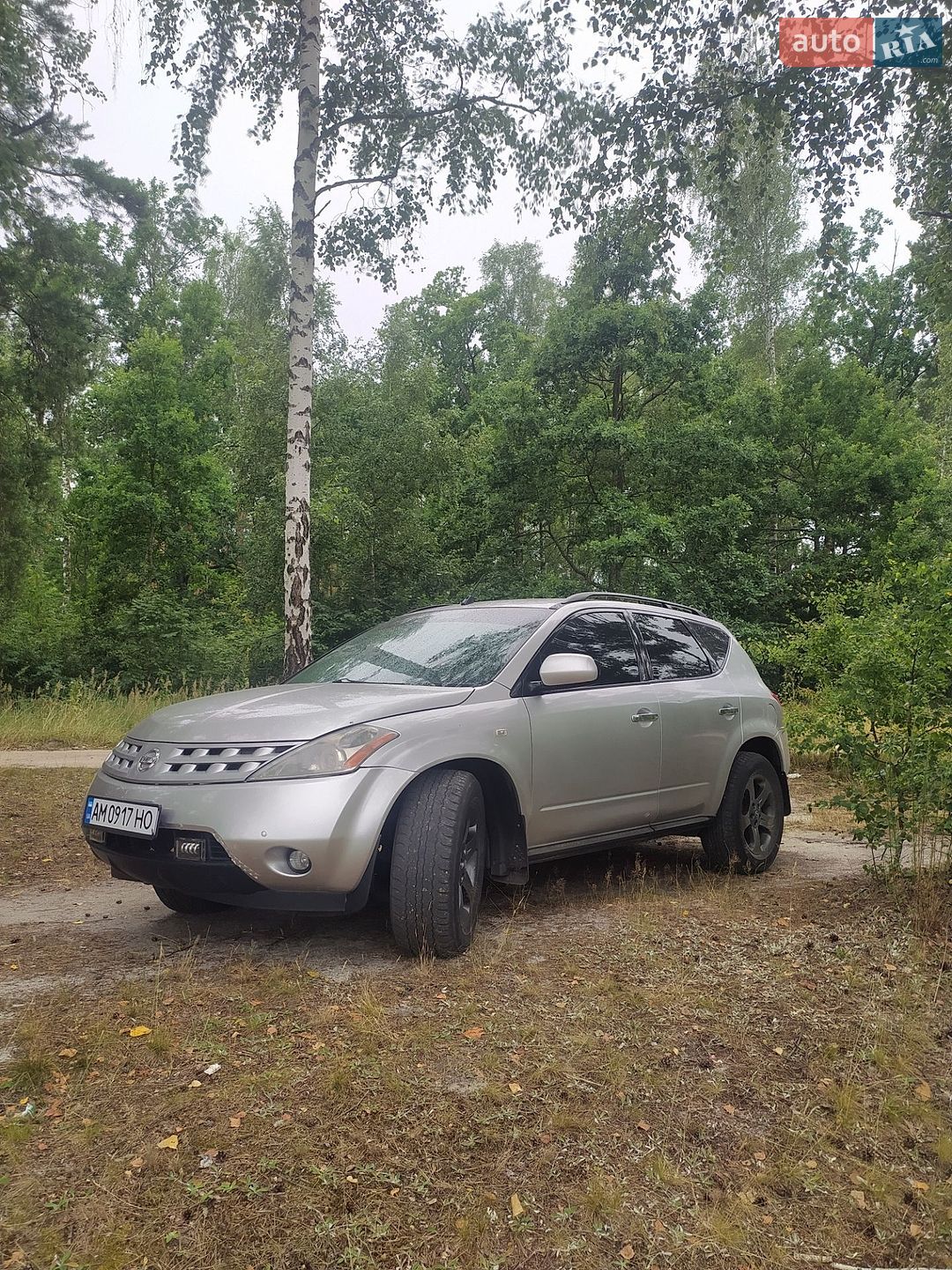 Nissan Murano 2003 VIN JN8AZ08T23W104505 фото оголошення 20 з 20