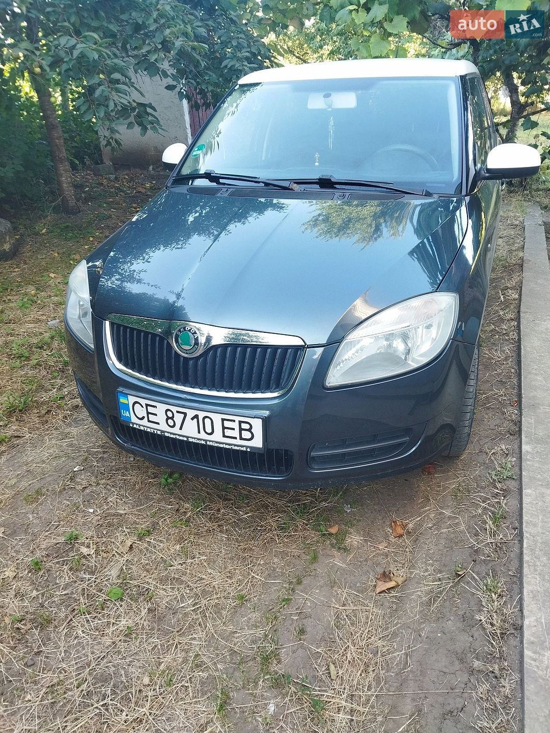 Skoda Fabia 2007 VIN TMBBH65JX83055152 фото оголошення 9 з 11