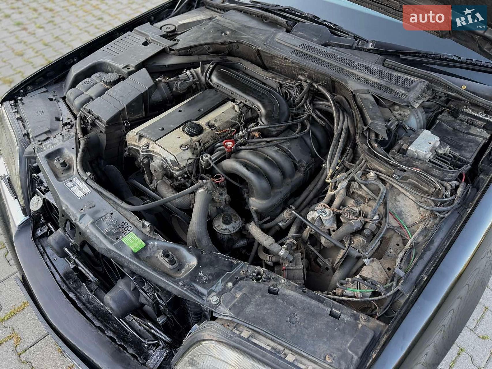 Mercedes-Benz S-Class 1995 VIN WDB1400321A271939 фото оголошення 56 з 73