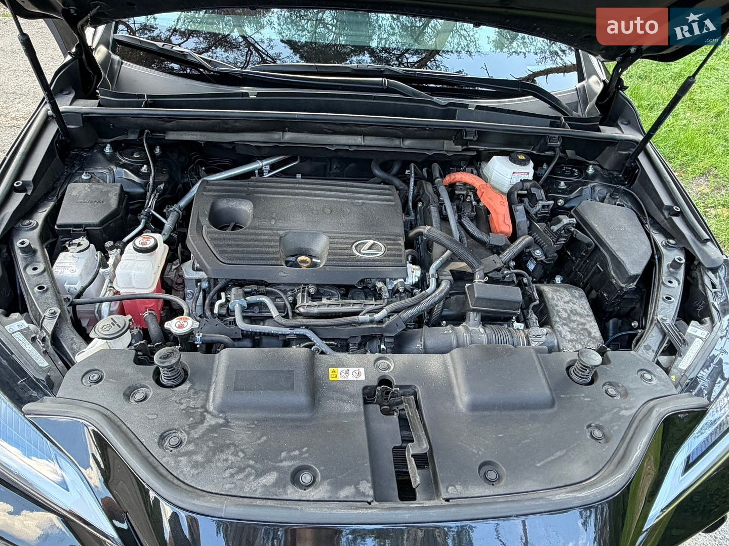 Lexus NX 2024 VIN 2T2GKCEZ7SC044244 фото оголошення 25 з 29