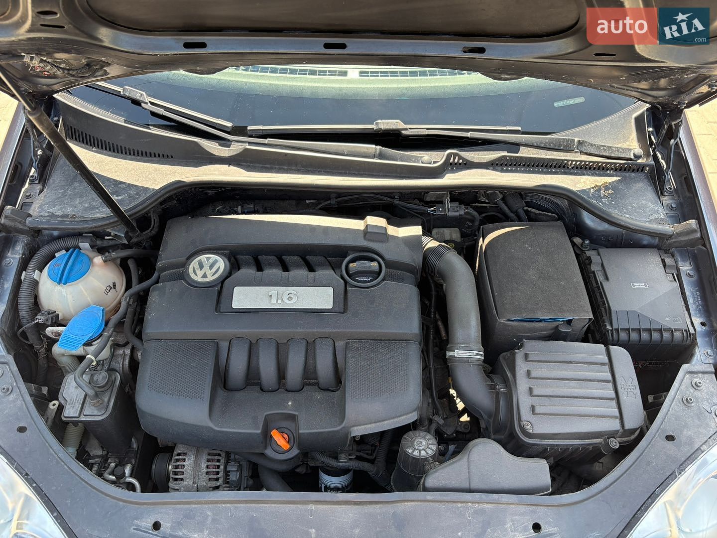 Volkswagen Jetta 2008 VIN WVWZZZ1KZ8M114809 фото оголошення 16 з 17