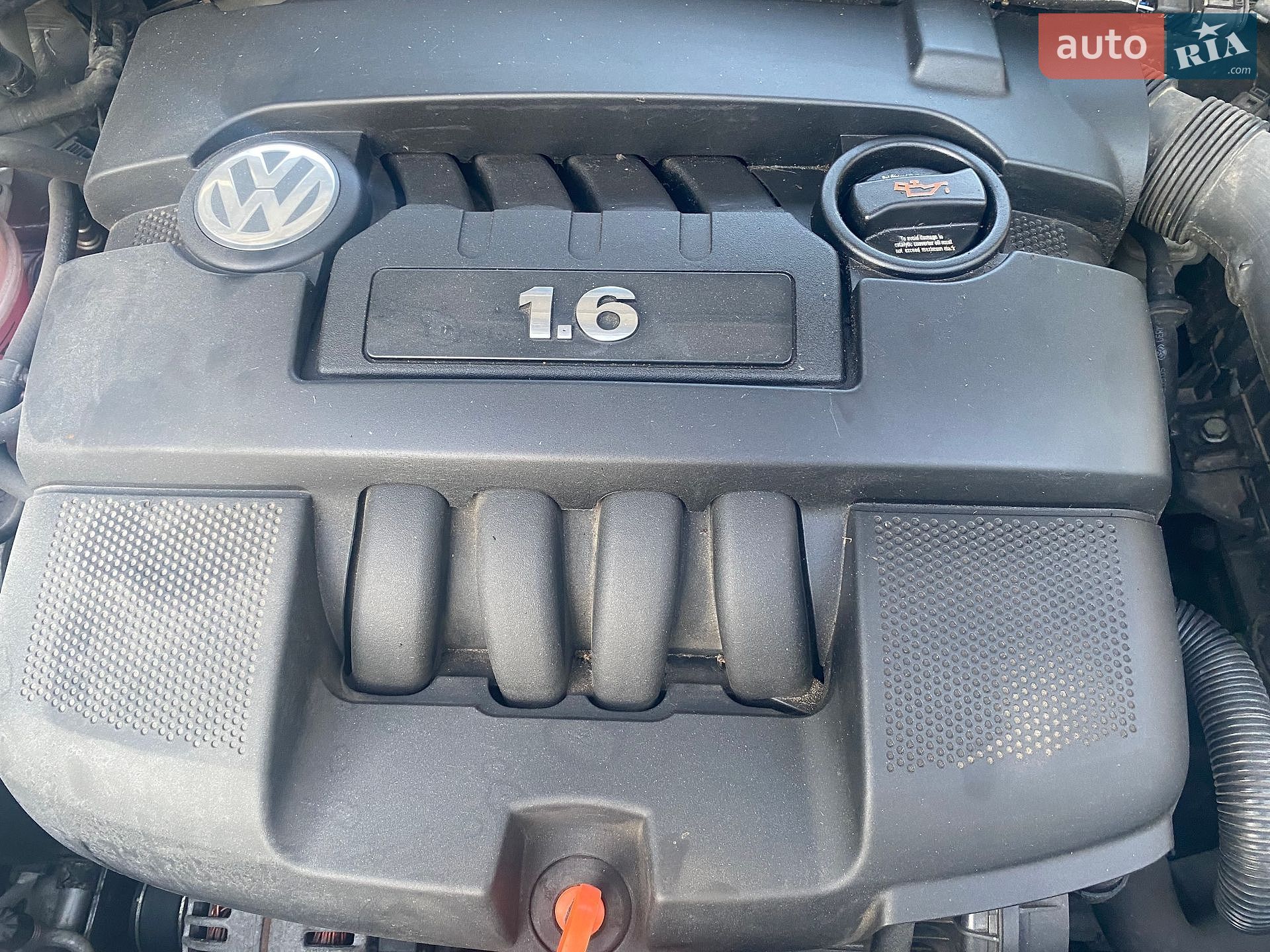 Volkswagen Golf 2005 VIN WVWZZZ1KZ6P003661 фото оголошення 40 з 41
