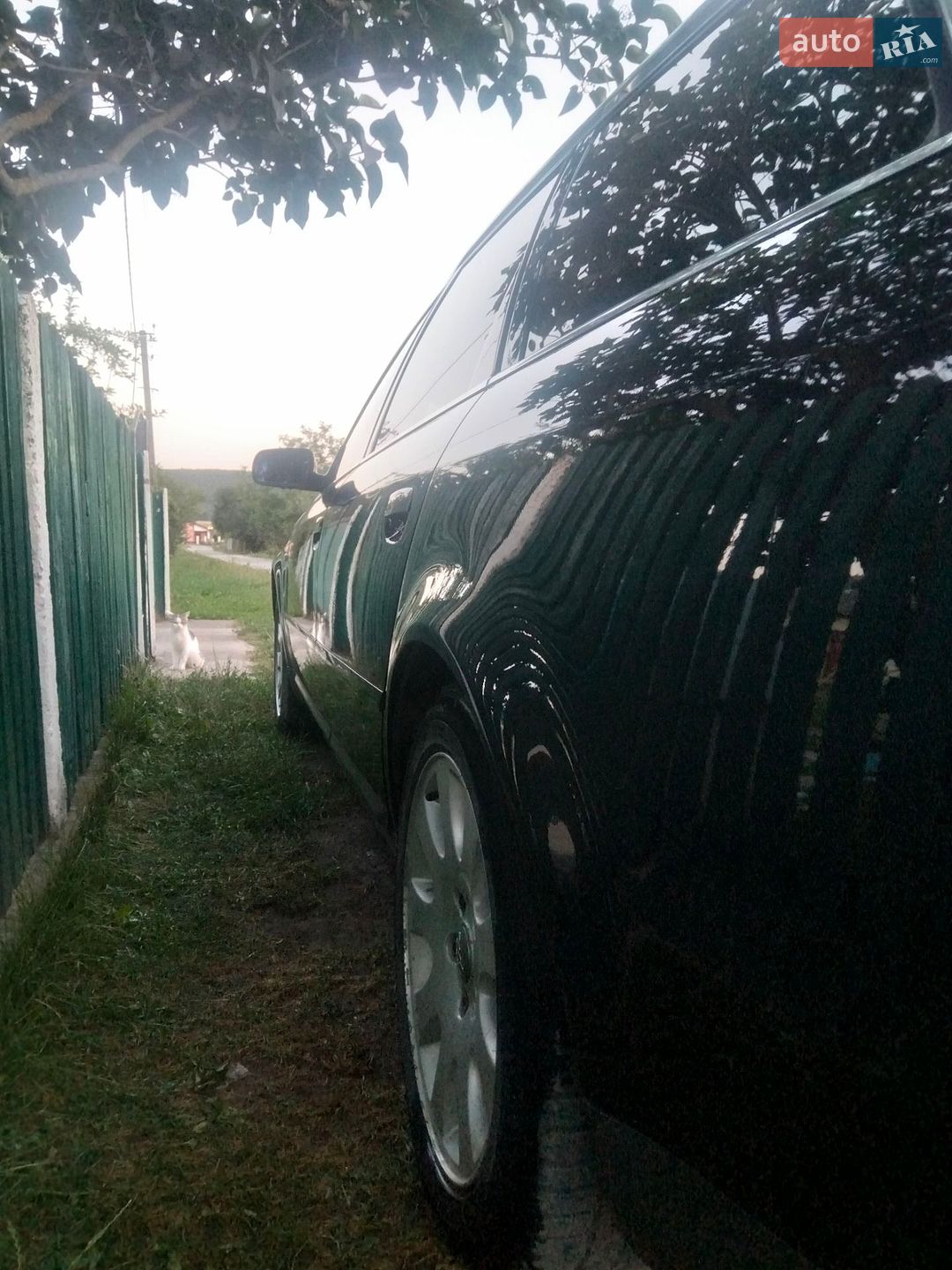Audi A6 1999 VIN WAUZZZ4BZXN086261 фото оголошення 23 з 47