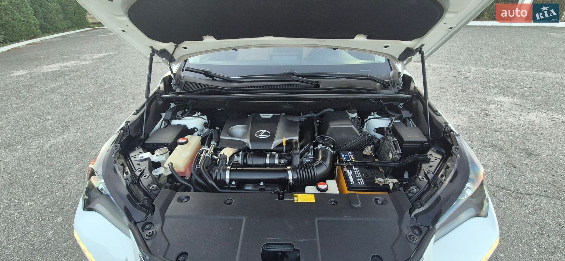 Lexus NX 2015 VIN JTJYARBZ2F2010524 фото оголошення 24 з 25