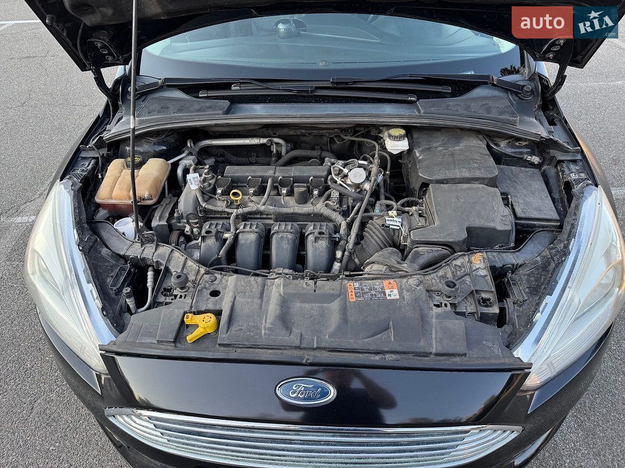 Ford Focus 2017 VIN 1FADP3N27HL320439 фото оголошення 15 з 23