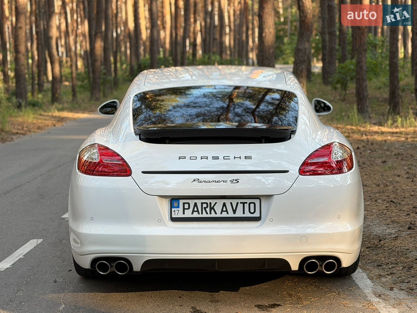 Porsche Panamera 2010 VIN WP0AB2A73AL064507 фото оголошення 8 з 25