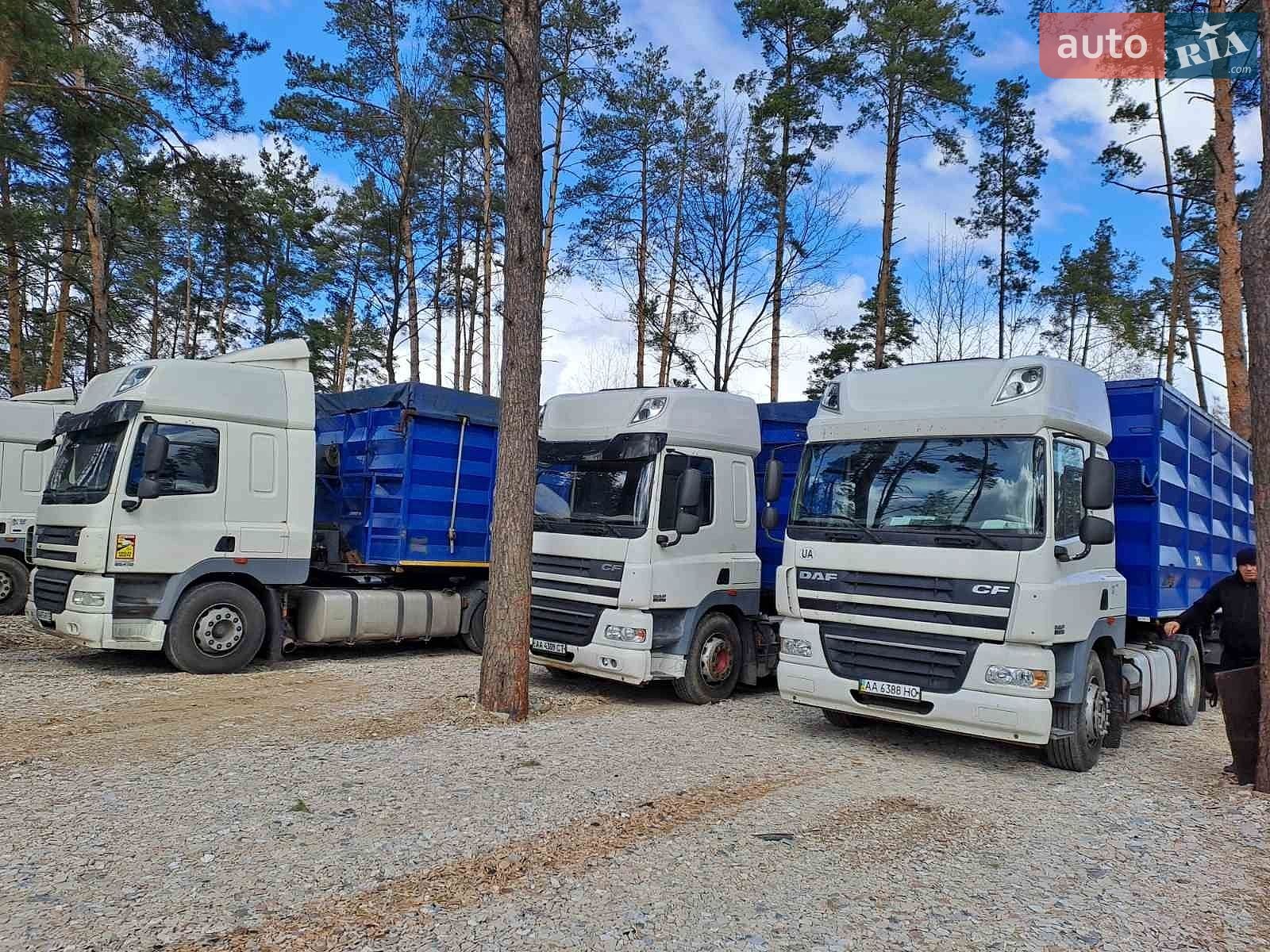 DAF CF 2007 VIN XLRTE85MC0E786660 фото оголошення 14 з 16