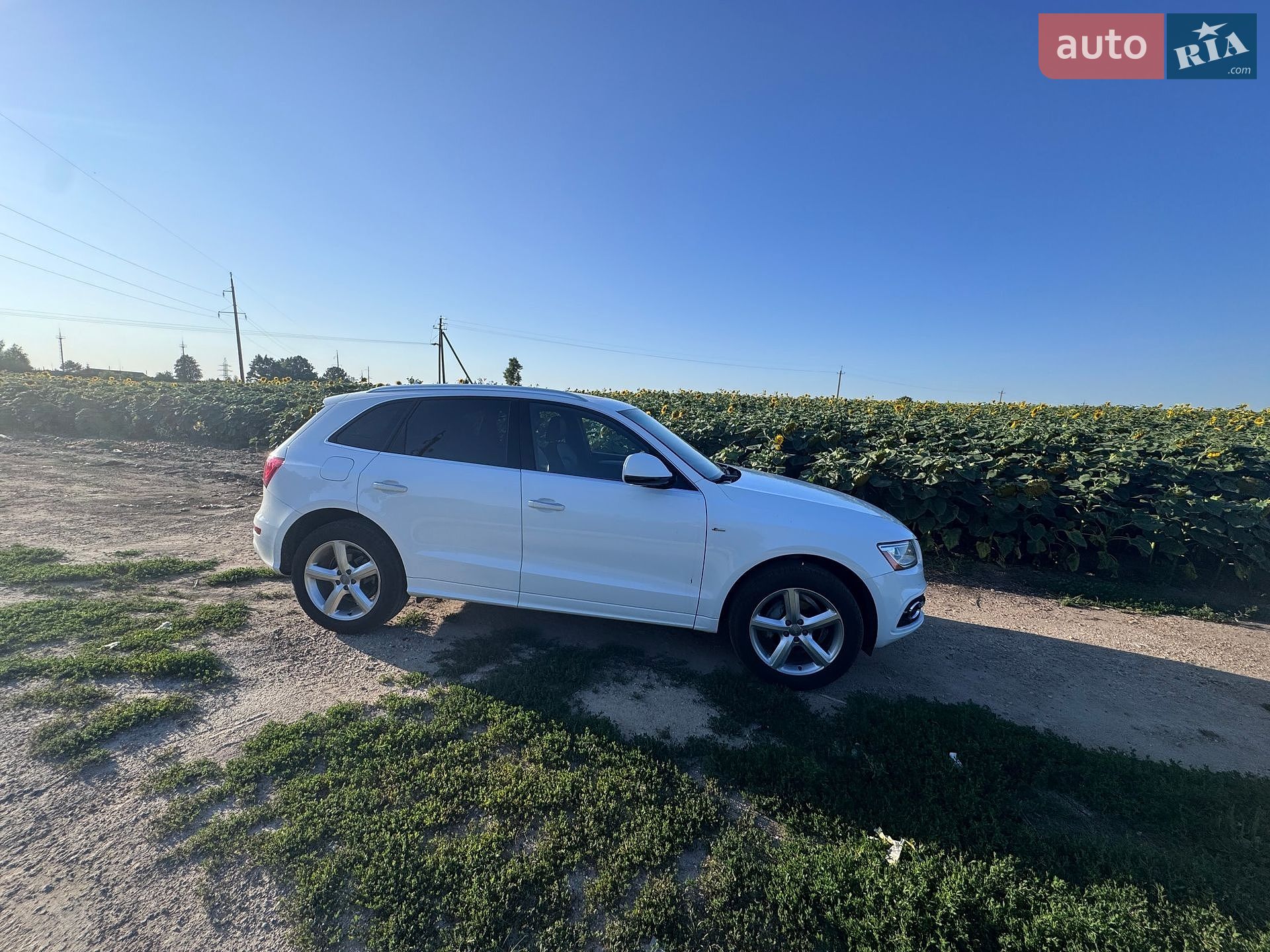 Audi Q5 2016 VIN WA1M2AFP3HA054687 фото оголошення 12 з 13