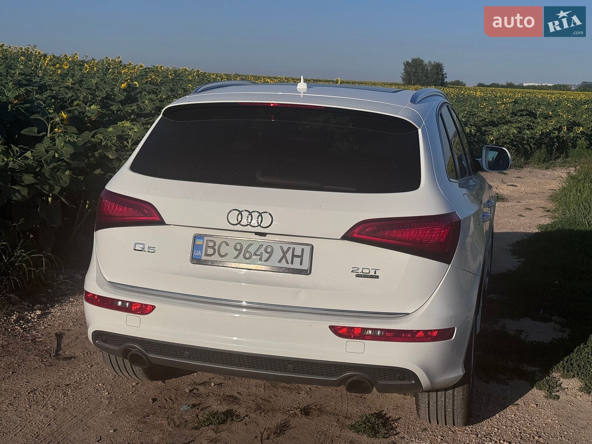 Audi Q5 2016 VIN WA1M2AFP3HA054687 фото оголошення 11 з 13