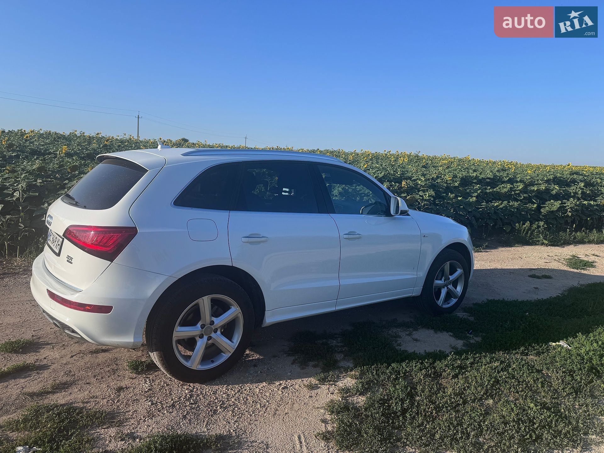 Audi Q5 2016 VIN WA1M2AFP3HA054687 фото оголошення 13 з 13