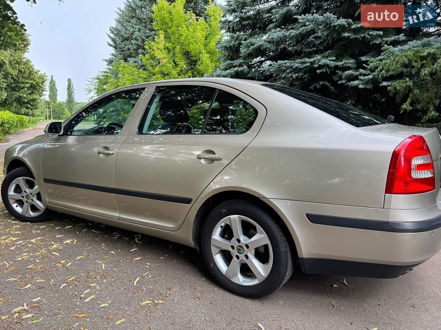 Skoda Octavia 2004 VIN TMBCA61Z658023236 фото оголошення 4 з 37