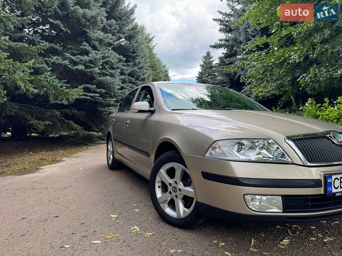 Skoda Octavia 2004 VIN TMBCA61Z658023236 фото оголошення 2 з 37