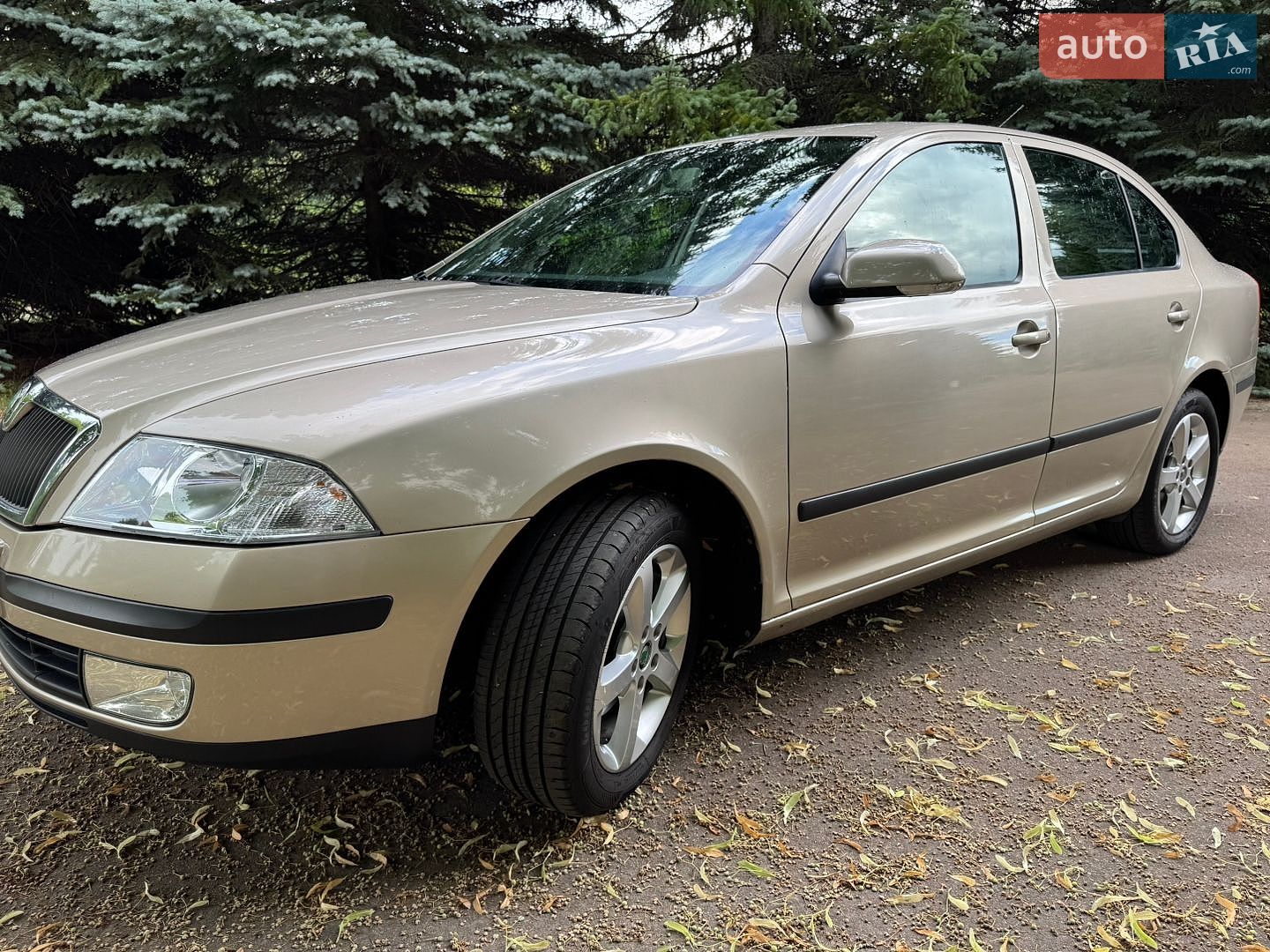 Skoda Octavia 2004 VIN TMBCA61Z658023236 фото оголошення 3 з 37