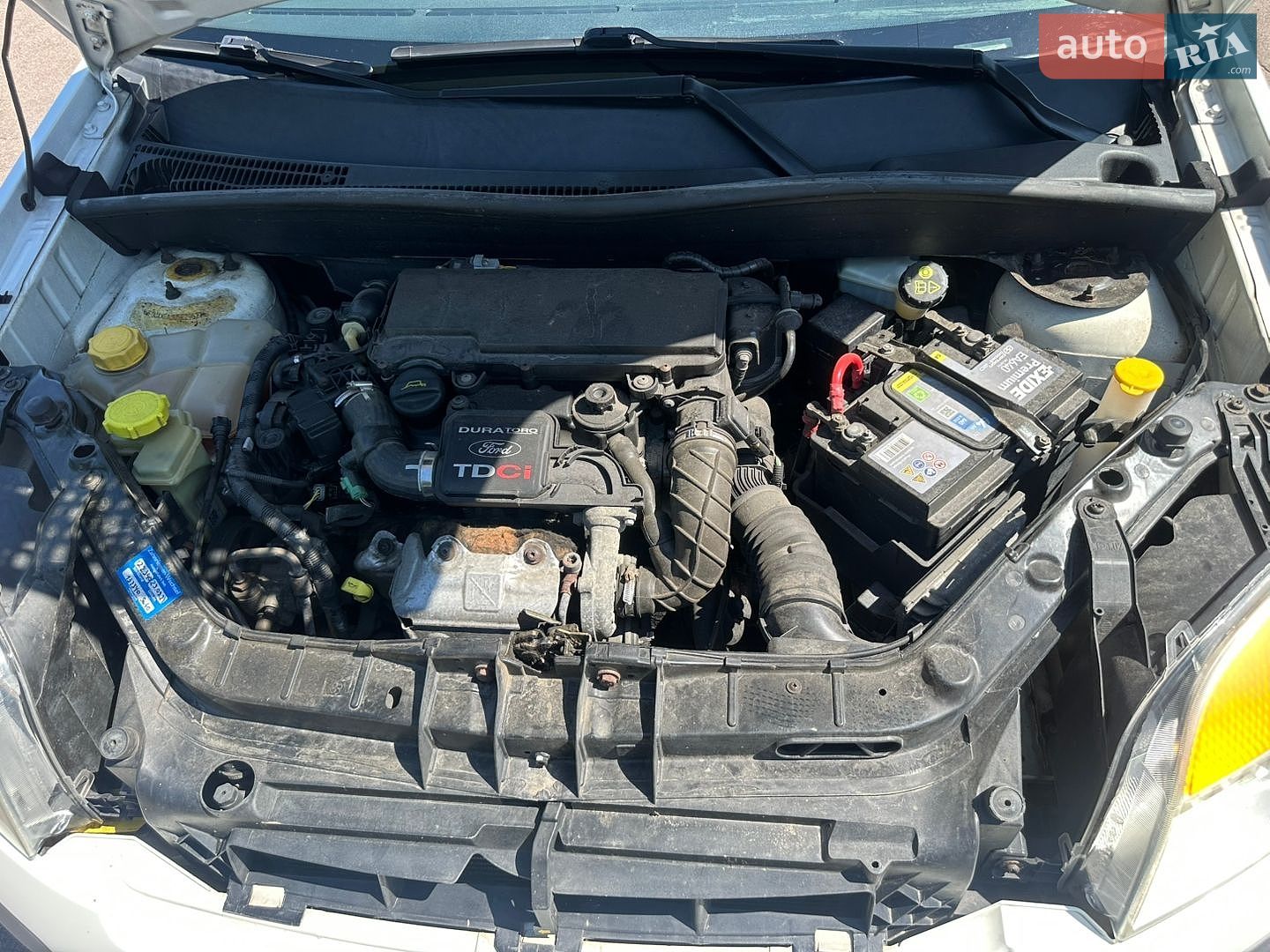 Ford Fusion 2006 VIN WF0UXXGAJU5E29627 фото оголошення 25 з 28