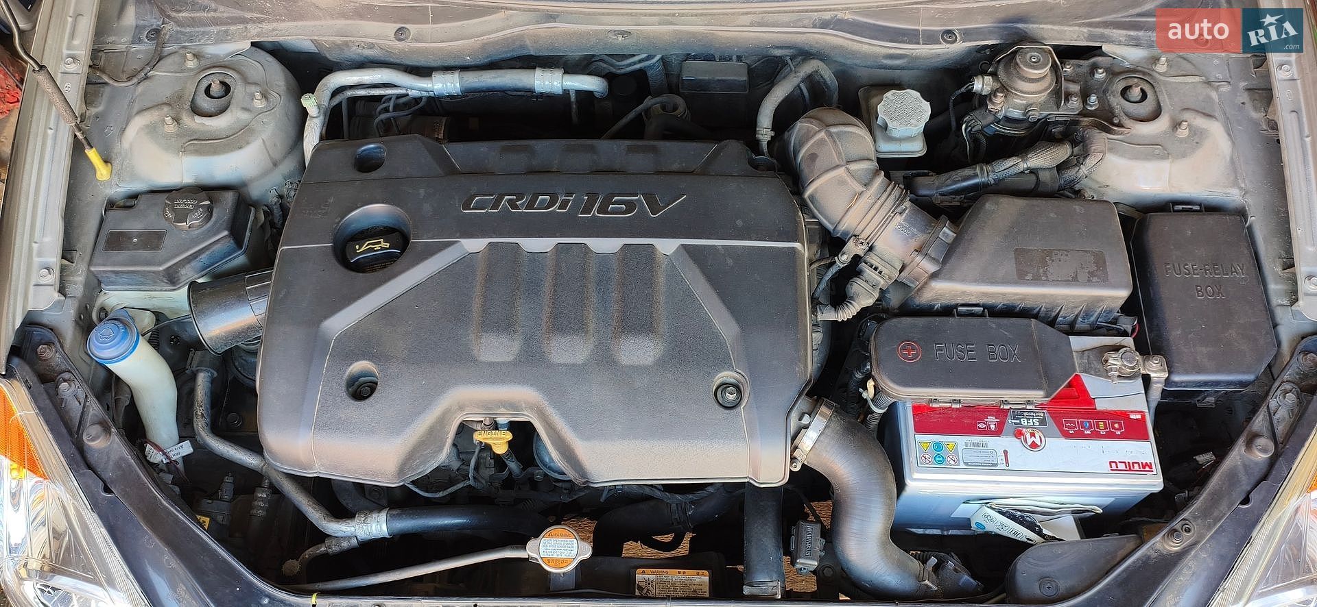 Hyundai Accent 2008 VIN Y6LCM41VP9L211091 фото оголошення 16 з 16