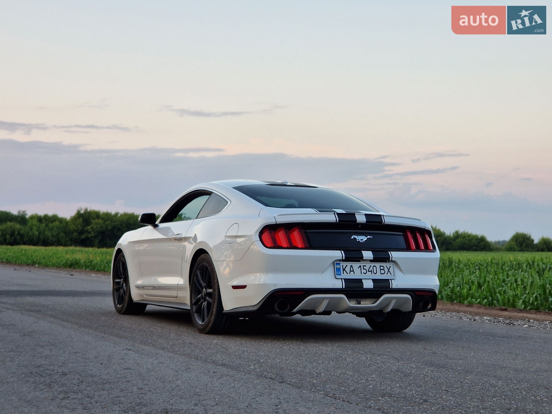 Ford Mustang 2016 VIN 1FA6P8TH1H5203022 фото оголошення 15 з 28
