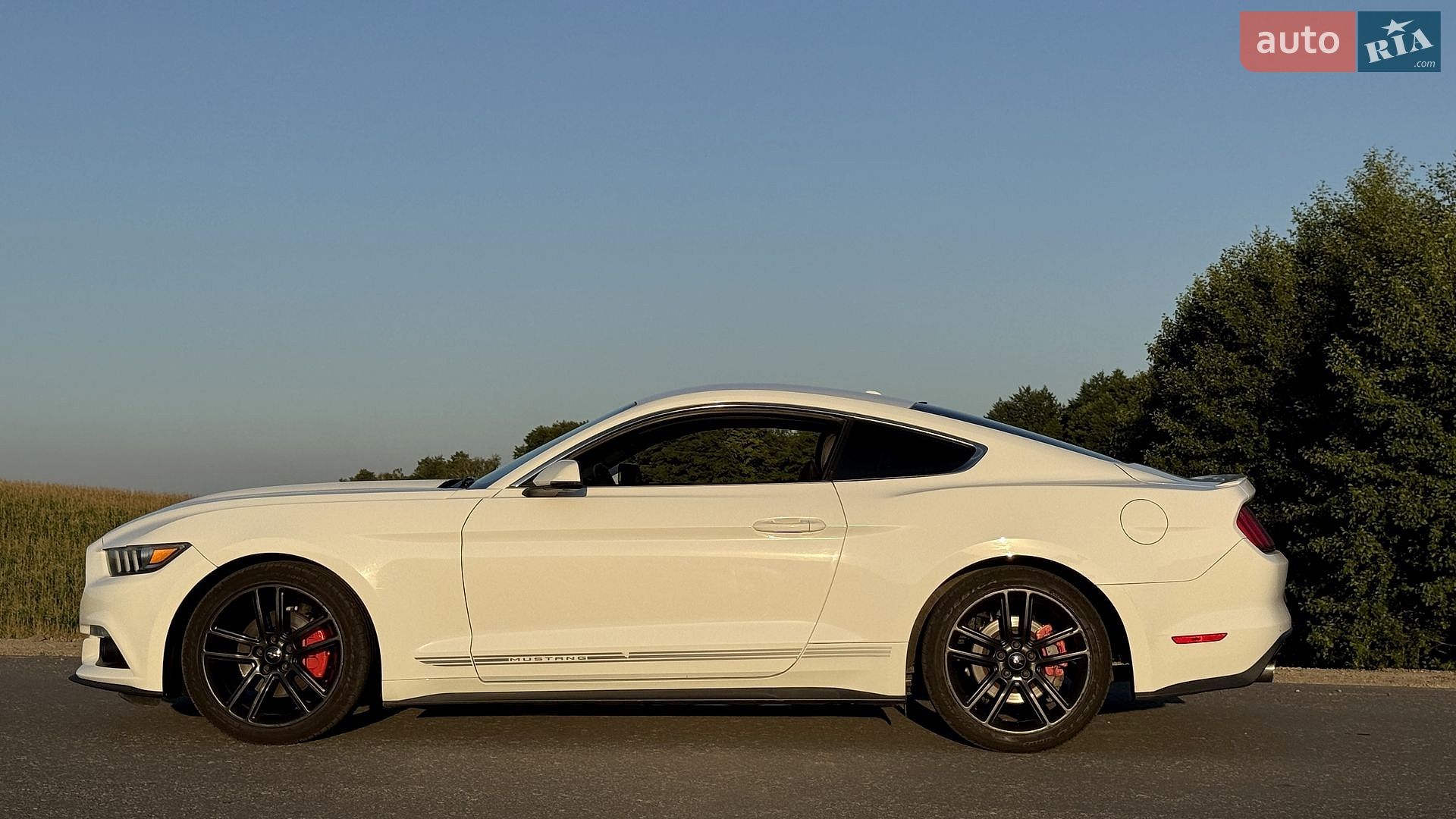 Ford Mustang 2016 VIN 1FA6P8TH1H5203022 фото оголошення 8 з 28