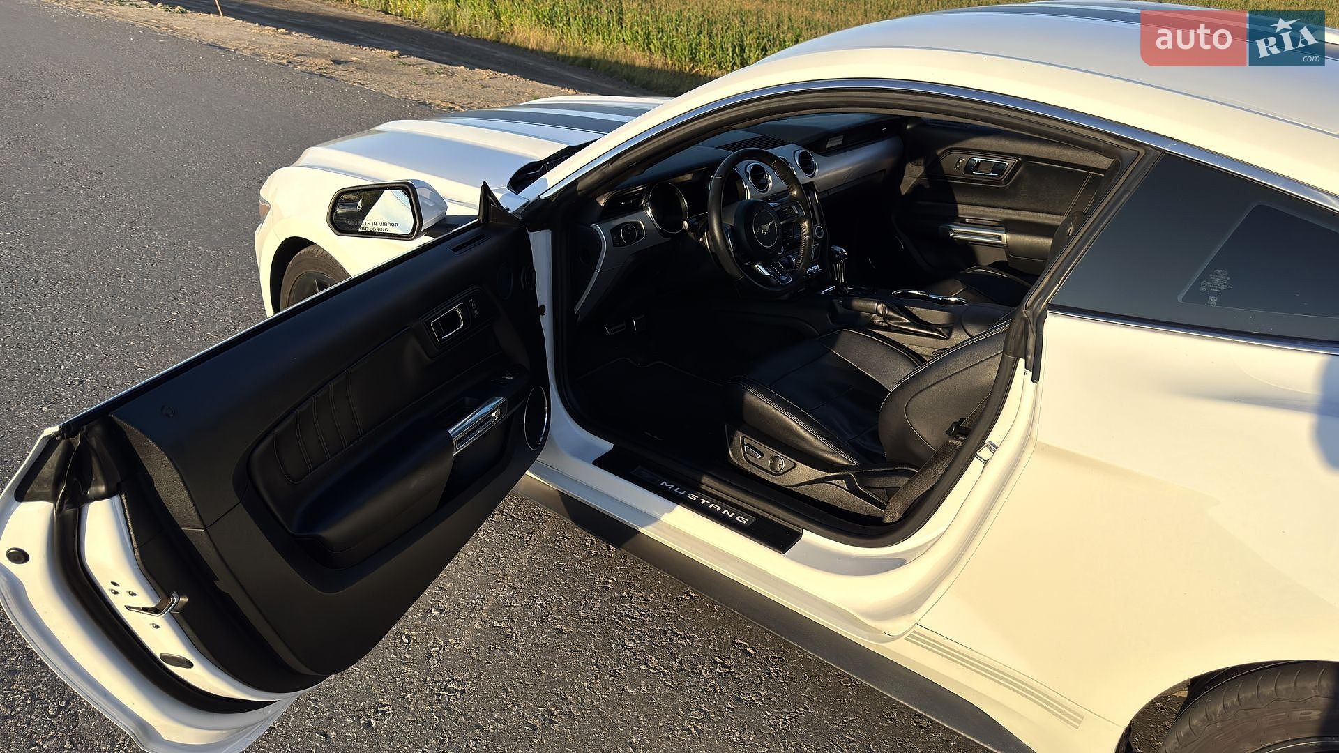 Ford Mustang 2016 VIN 1FA6P8TH1H5203022 фото оголошення 18 з 28