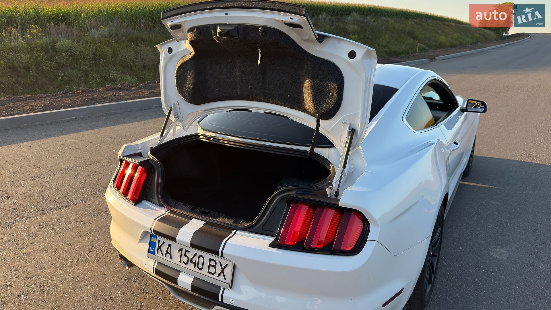 Ford Mustang 2016 VIN 1FA6P8TH1H5203022 фото оголошення 13 з 28