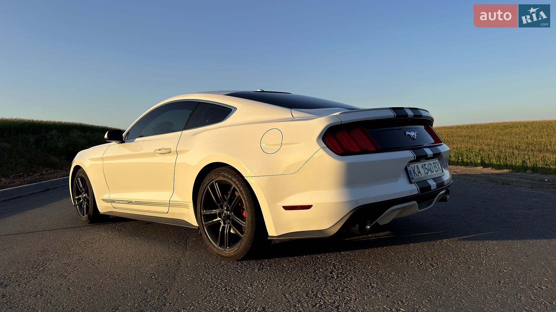 Ford Mustang 2016 VIN 1FA6P8TH1H5203022 фото оголошення 10 з 28