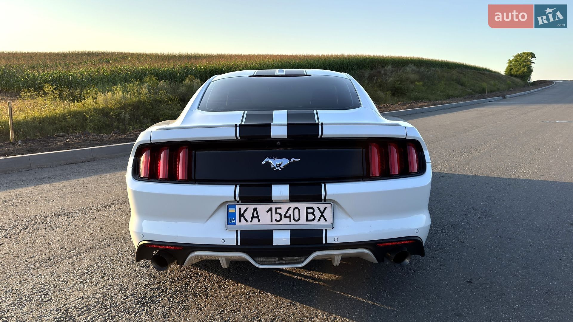 Ford Mustang 2016 VIN 1FA6P8TH1H5203022 фото оголошення 12 з 28