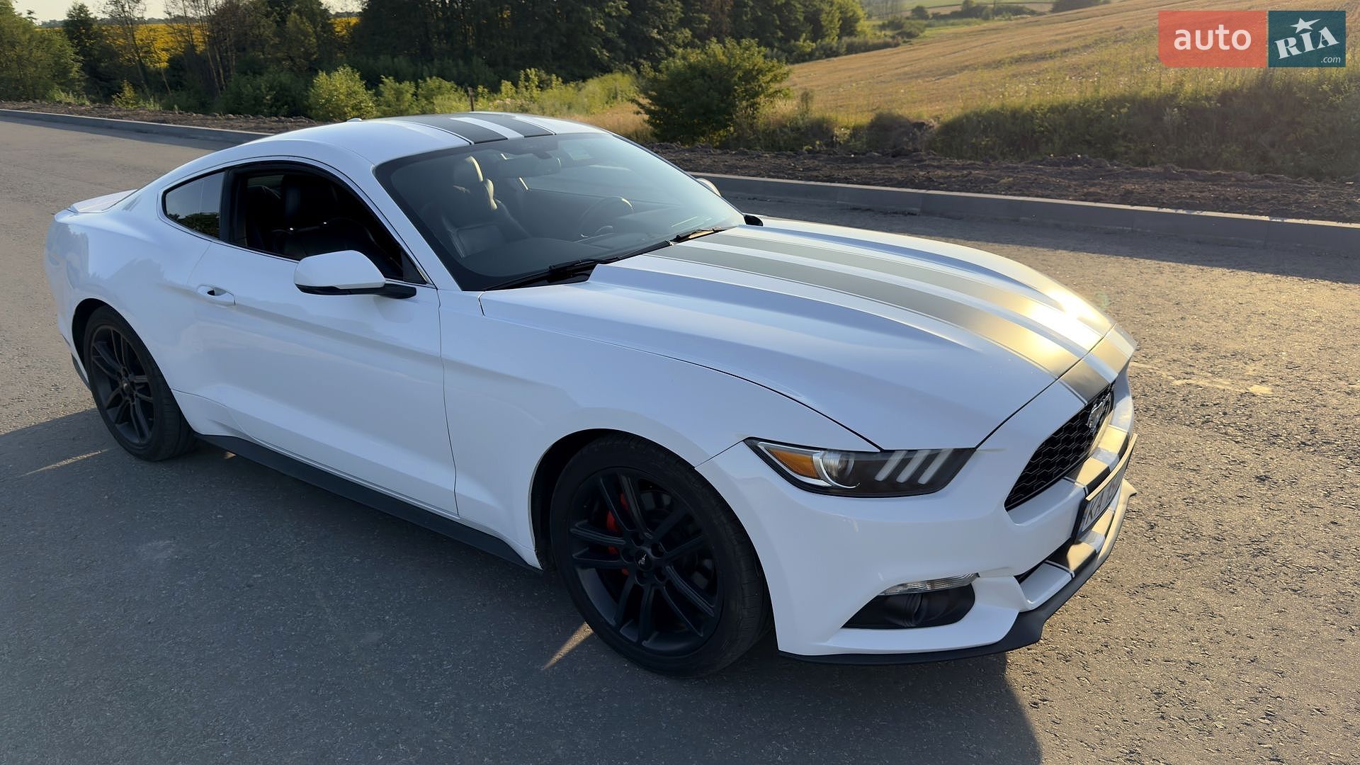 Ford Mustang 2016 VIN 1FA6P8TH1H5203022 фото оголошення 4 з 28