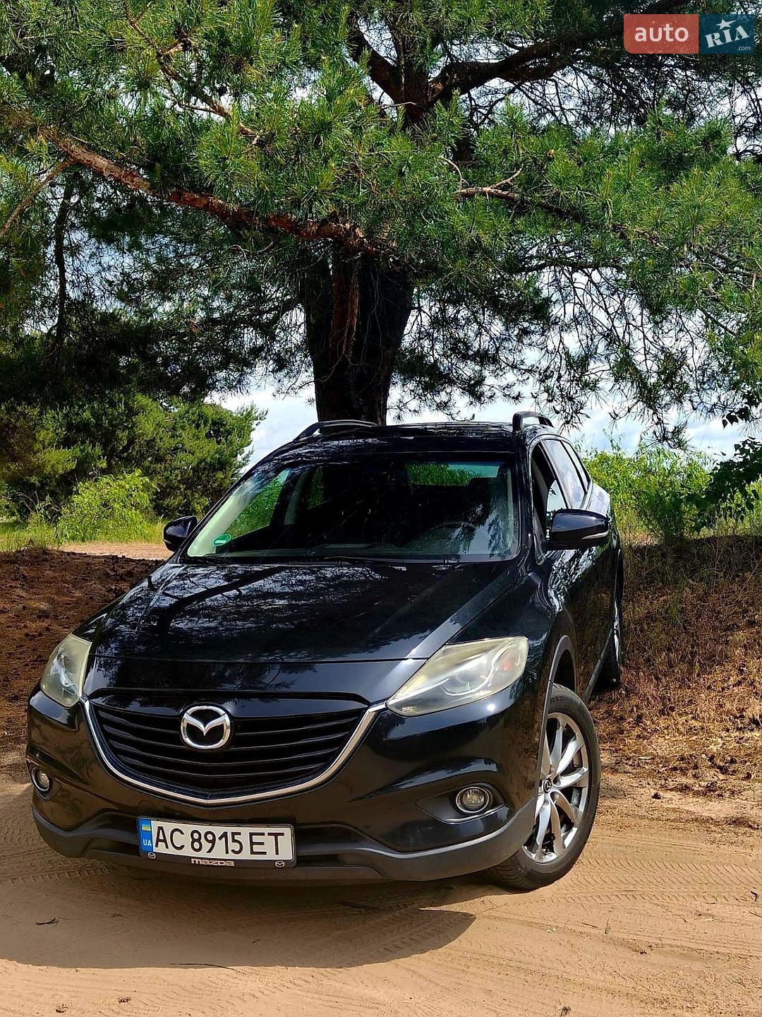 Mazda CX-9 2013 VIN JM3TB3DV2E0428231 фото оголошення 26 з 27