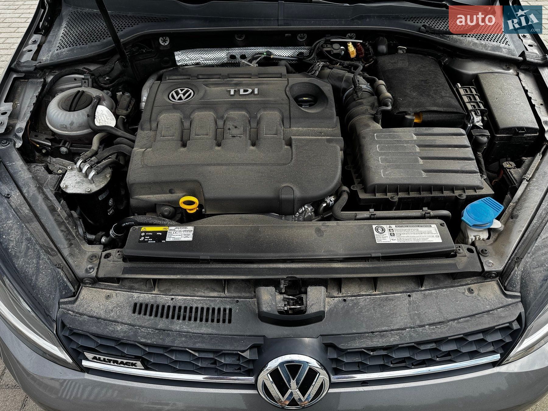 Volkswagen Golf Alltrack 2015 VIN WVWZZZAUZFP624697 фото оголошення 21 з 24