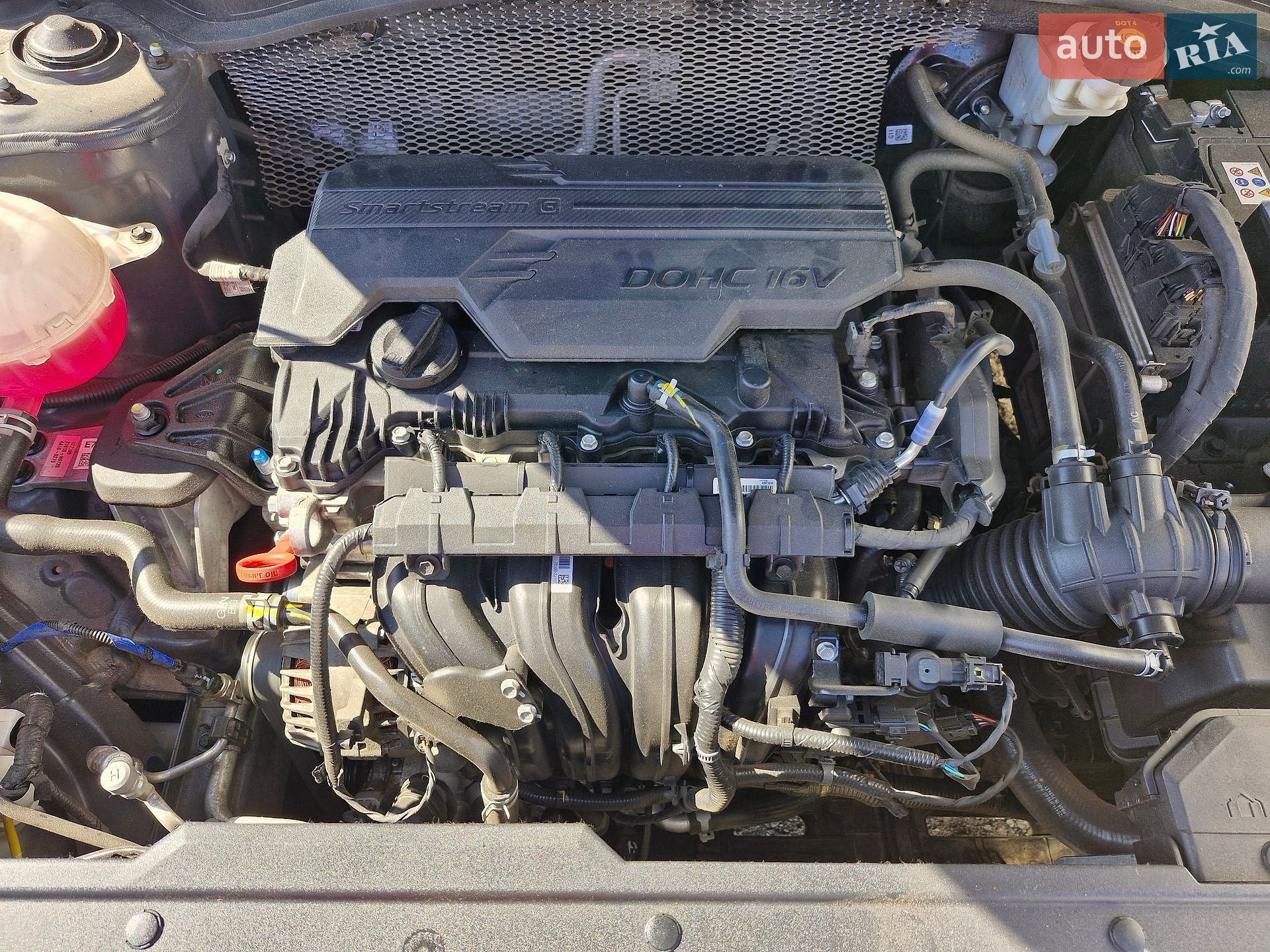 Kia Sportage 2024 VIN U5YPV81DBSL296398 фото оголошення 19 з 19