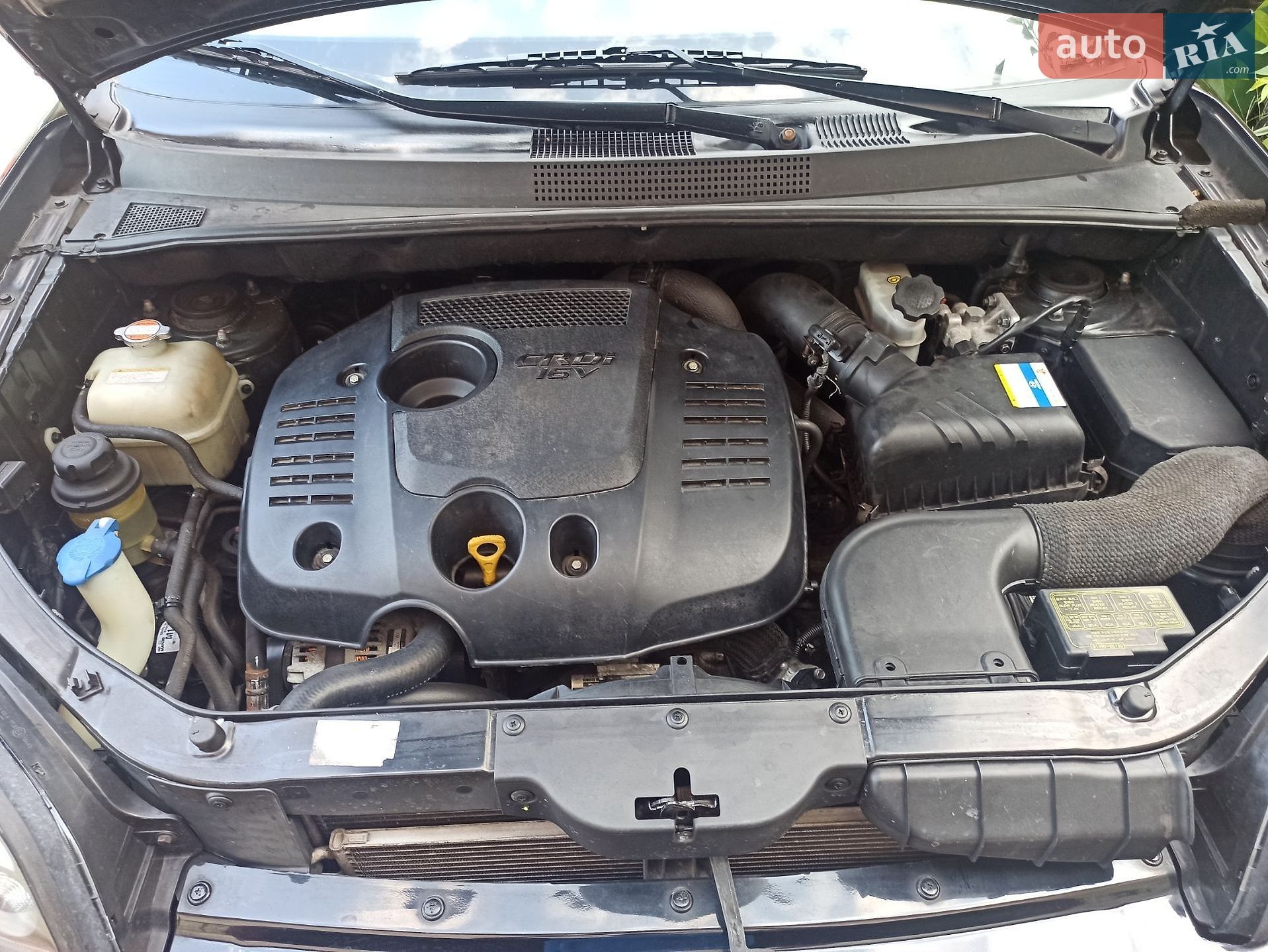 Hyundai Tucson 2007 VIN KMHJN81VP7U712712 фото оголошення 24 з 25