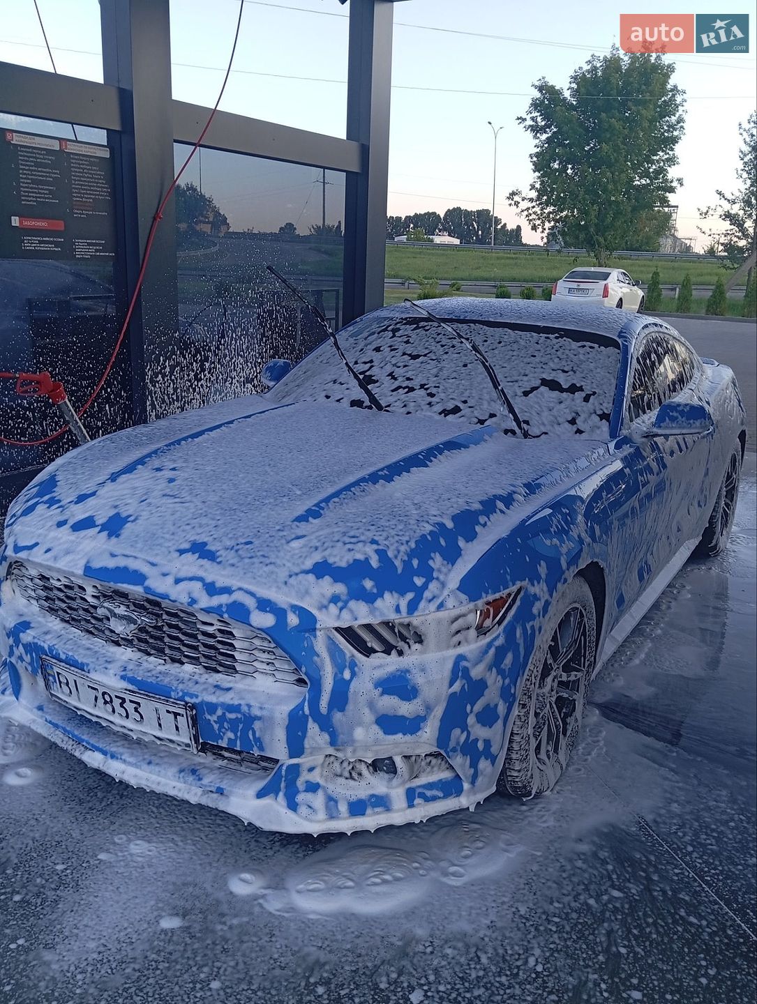 Ford Mustang 2017 VIN 1FA6P8TH2H5294124 фото оголошення 9 з 9