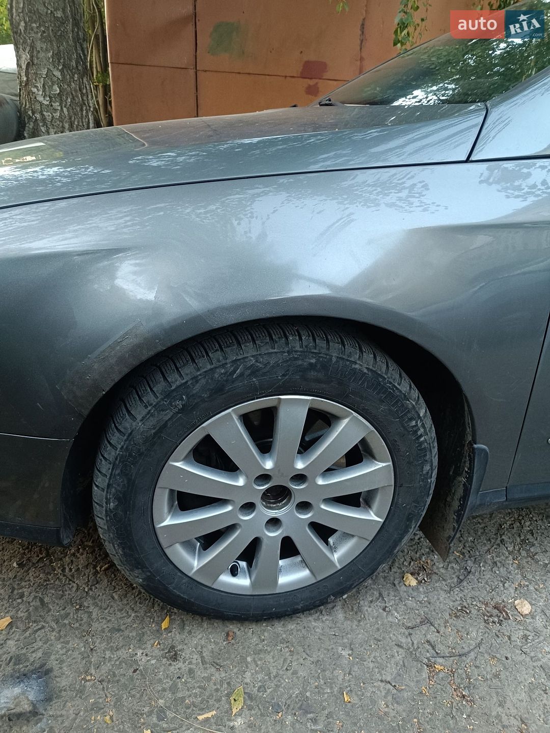 Volkswagen Passat 2006 VIN WVWZZZ3CZ6E209766 фото оголошення 12 з 12