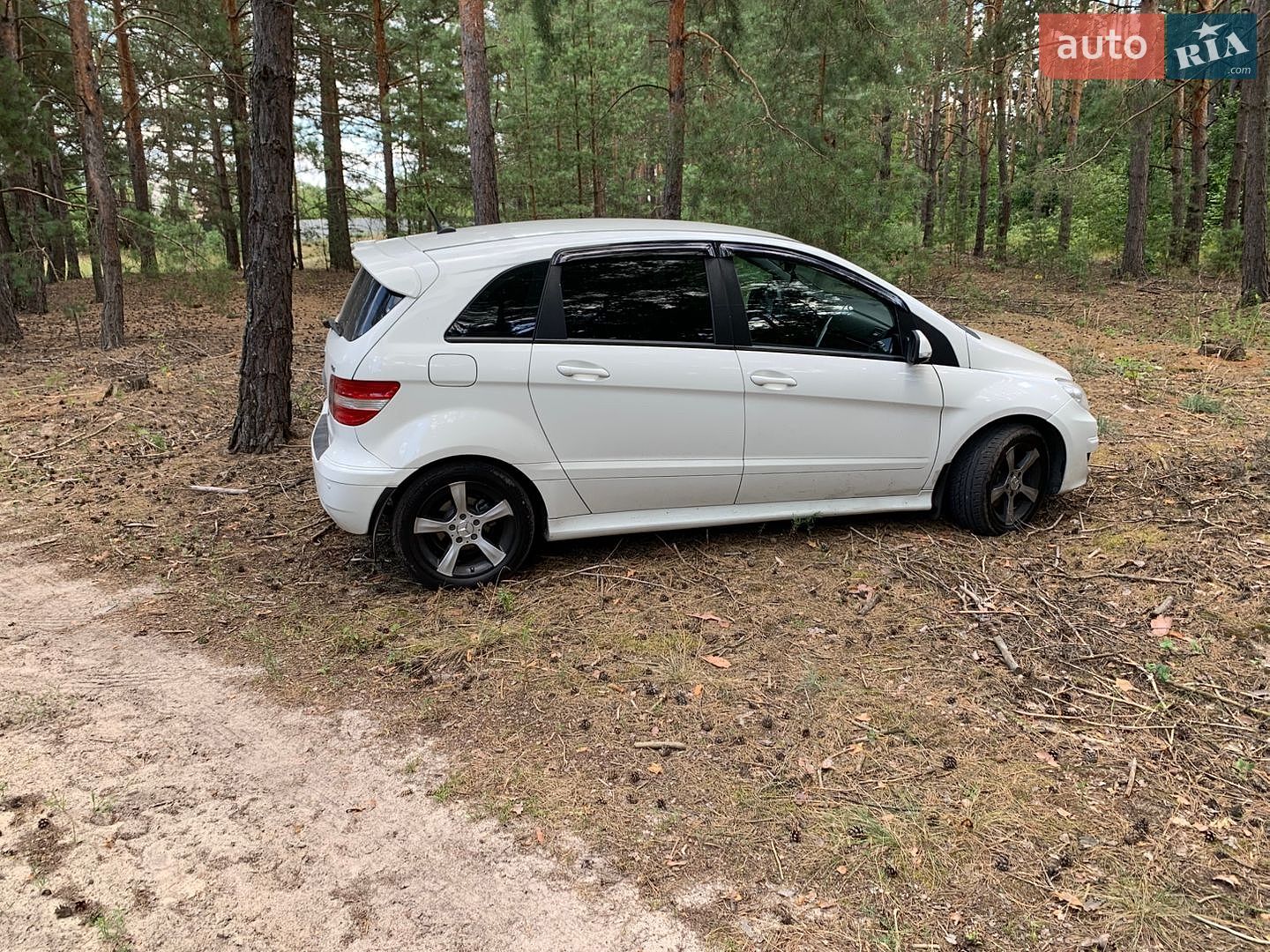 Mercedes-Benz B-Class 2008 VIN WDD2452071J400951 фото оголошення 19 з 20