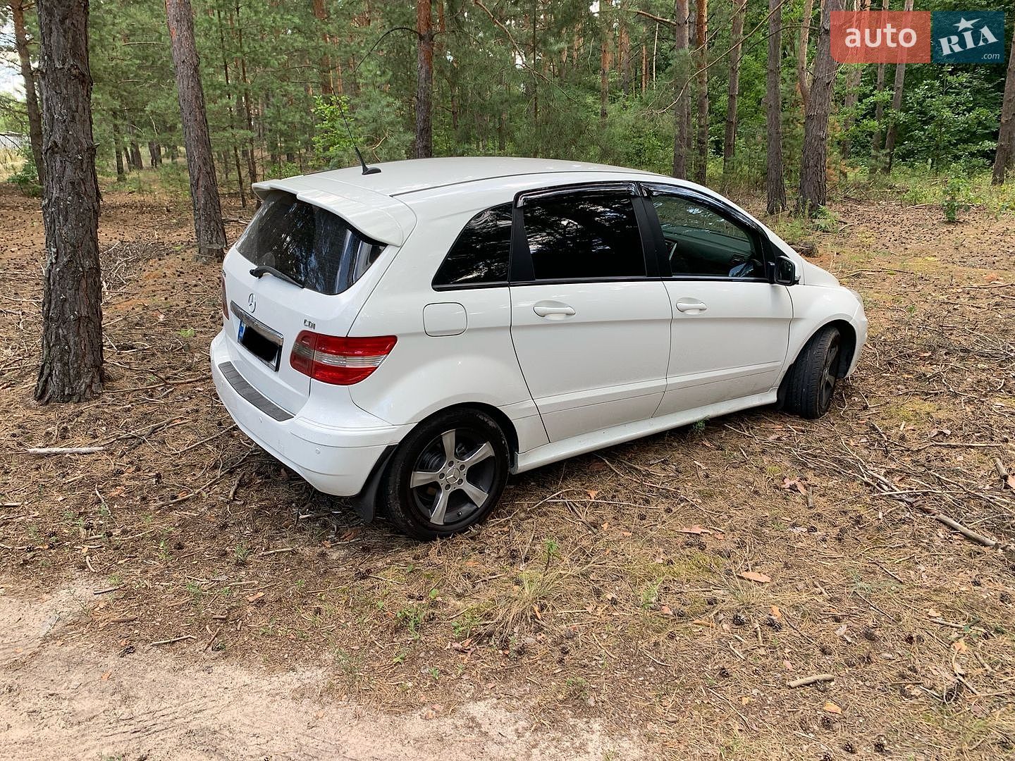 Mercedes-Benz B-Class 2008 VIN WDD2452071J400951 фото оголошення 20 з 20