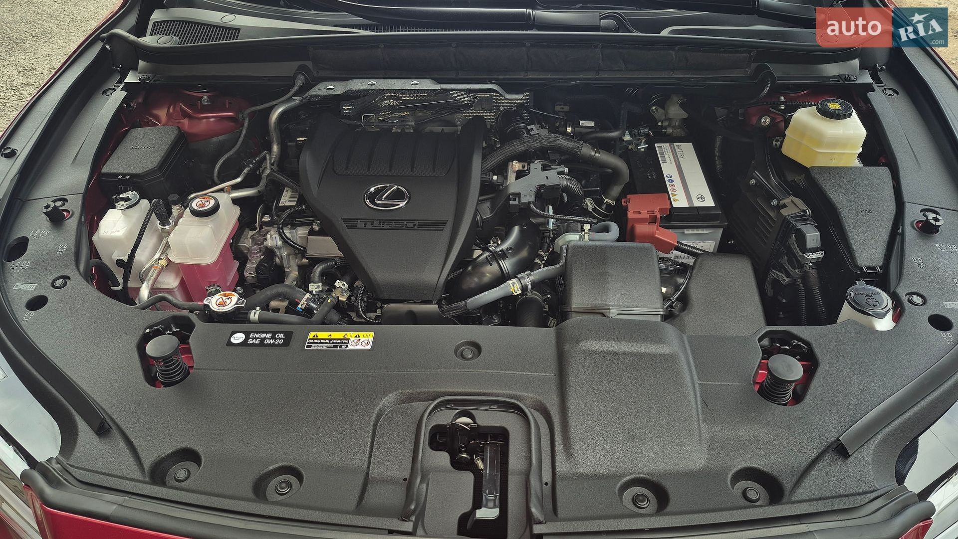 Lexus RX 2025 VIN 2T2BAMCA5SC108541 фото оголошення 20 з 33