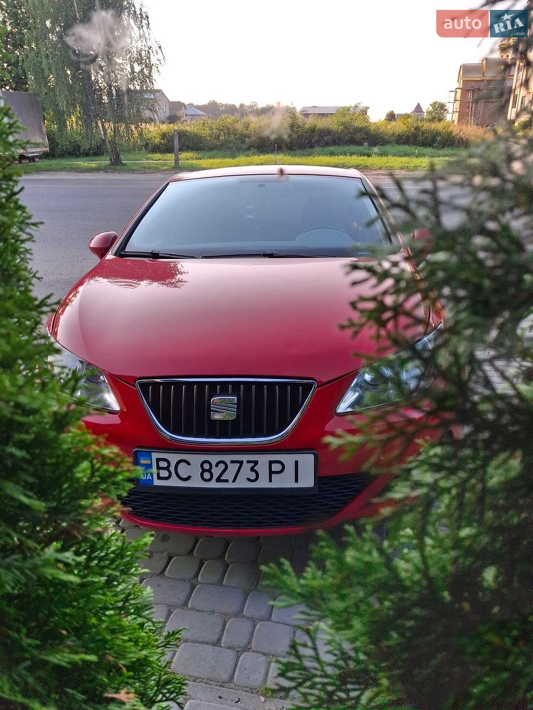 SEAT Ibiza 2010 VIN VSSZZZ6JZBR047640 фото оголошення 26 з 26