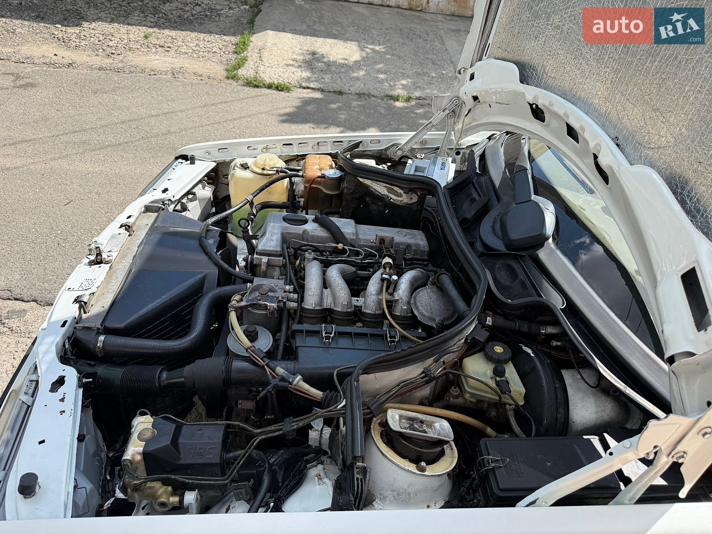Mercedes-Benz E-Class 1994 VIN WDB1241201J052290 фото оголошення 19 з 20