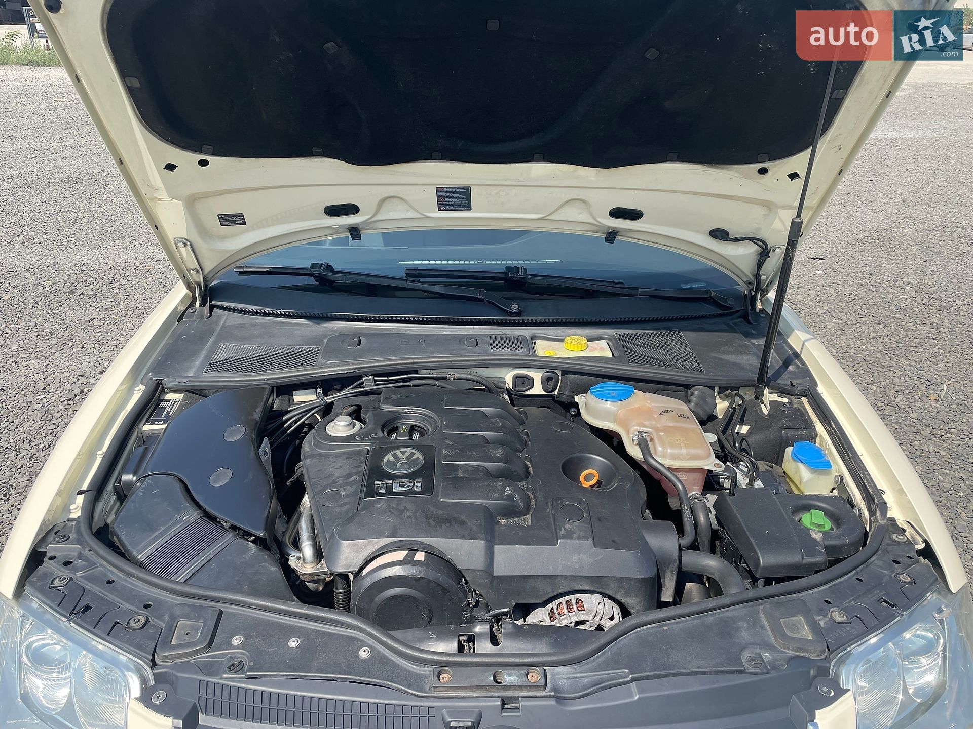 Volkswagen Passat 2005 VIN WVWZZZ3BZ5E140551 фото оголошення 24 з 24